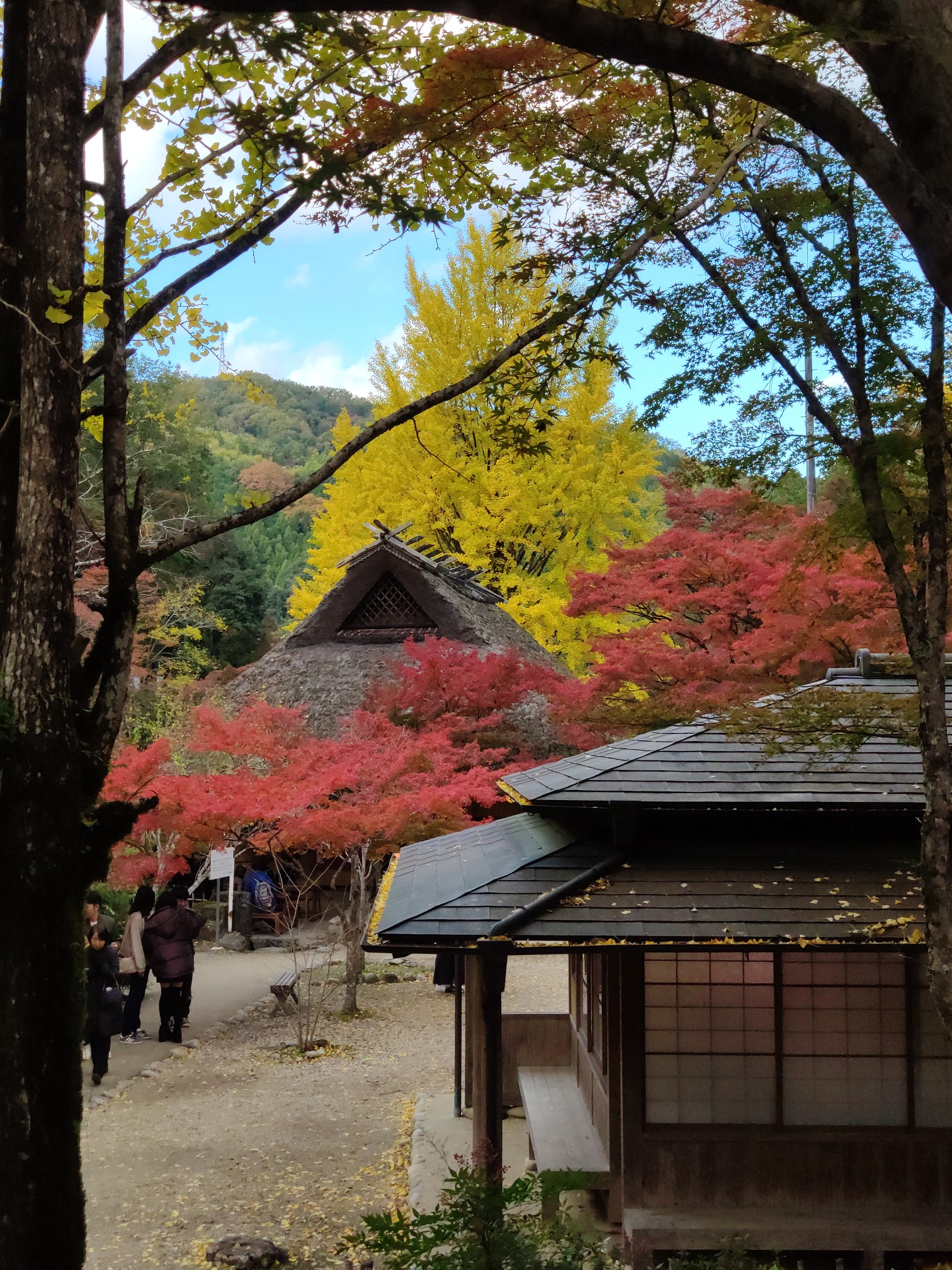 名古屋自助遊攻略