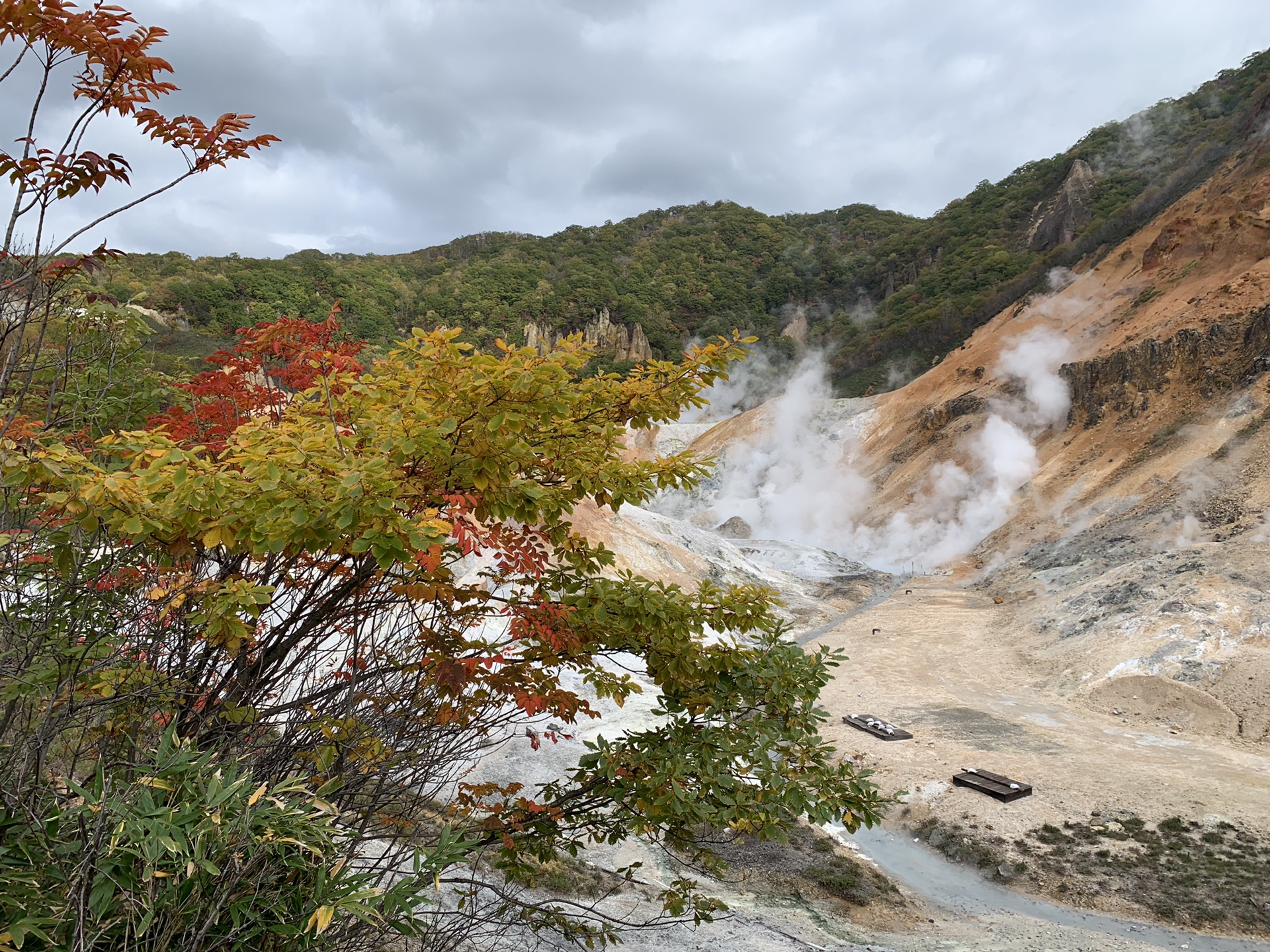 北海道自助遊攻略