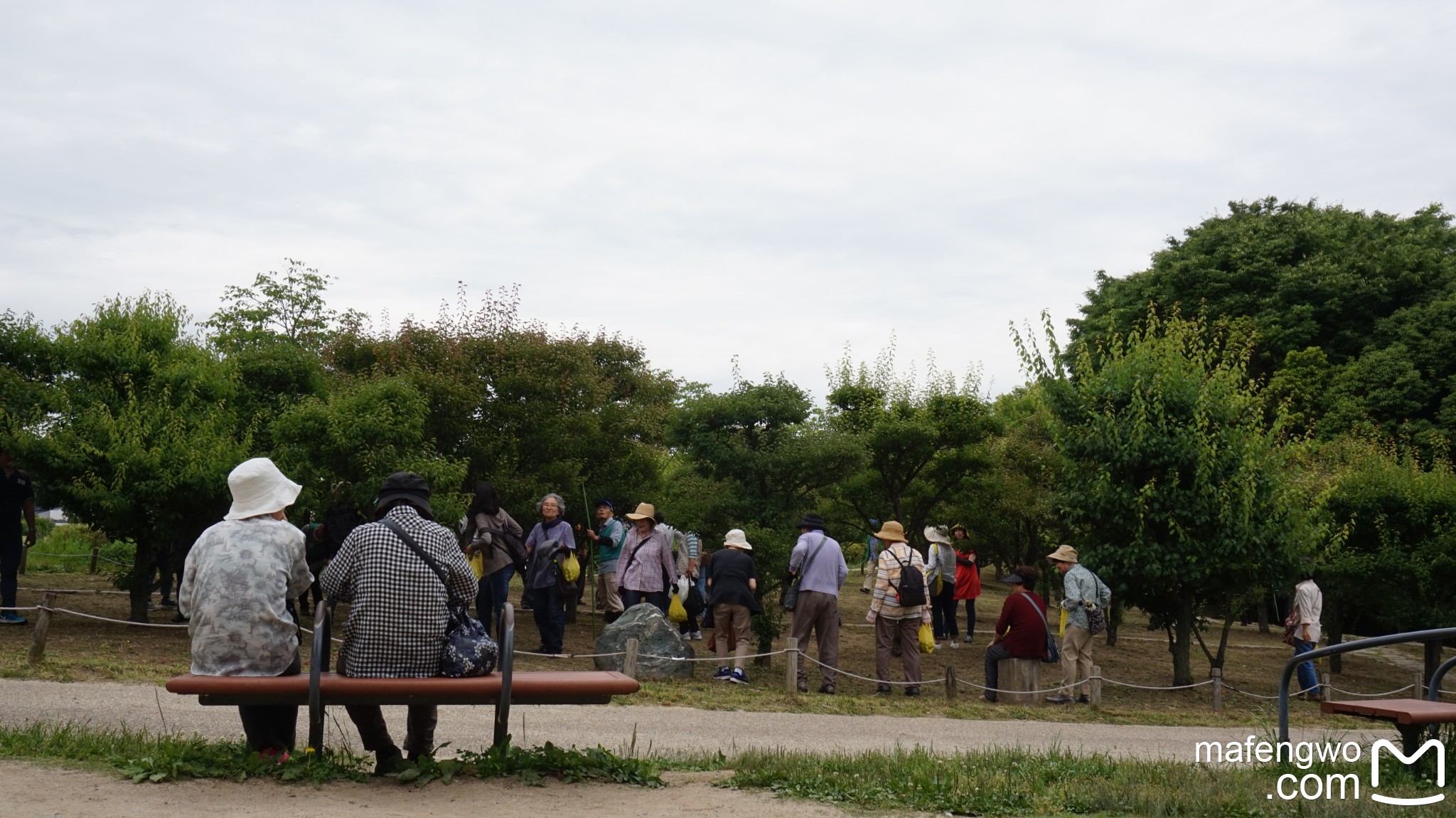 京都自助遊攻略