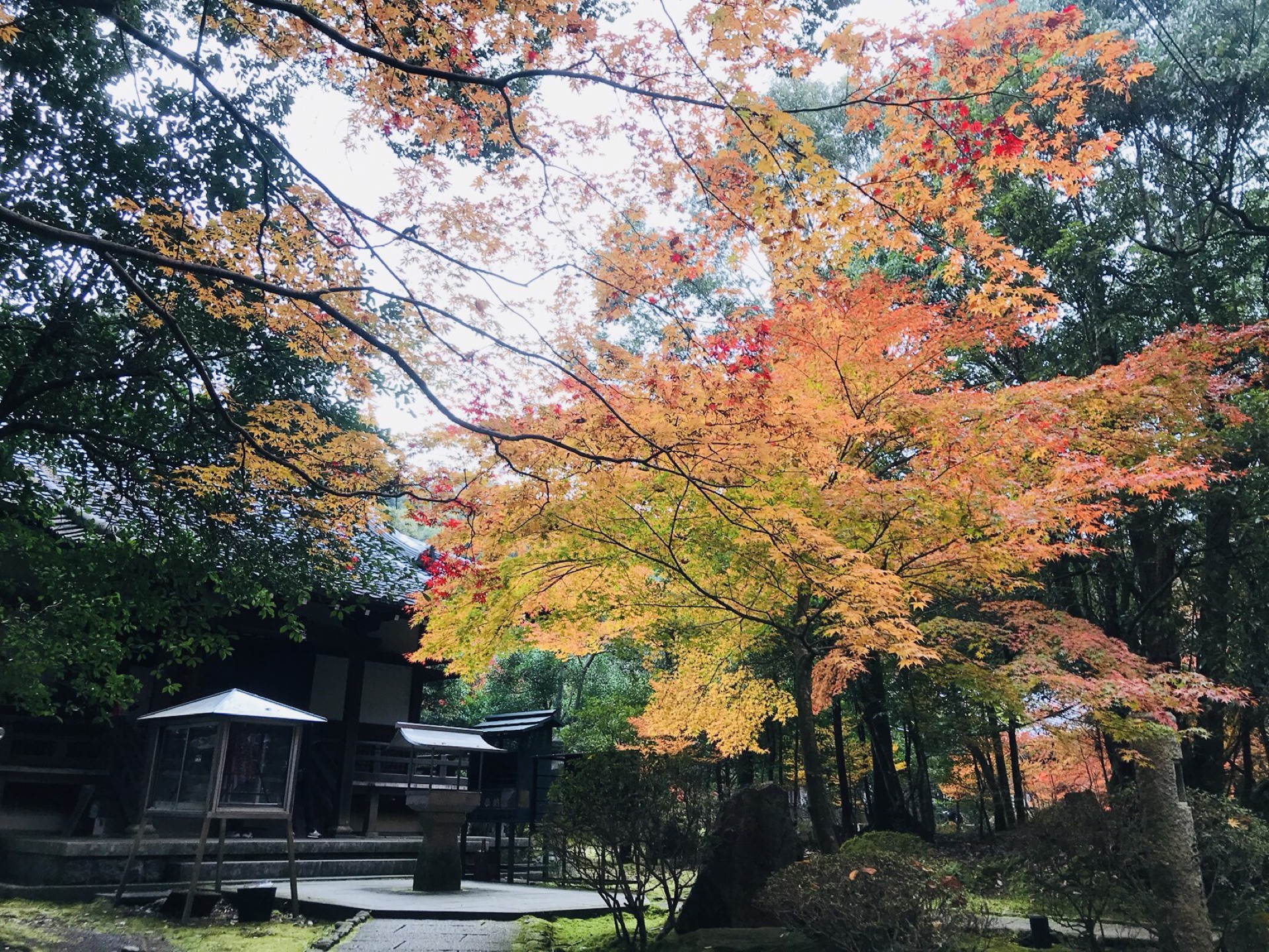 京都自助遊攻略