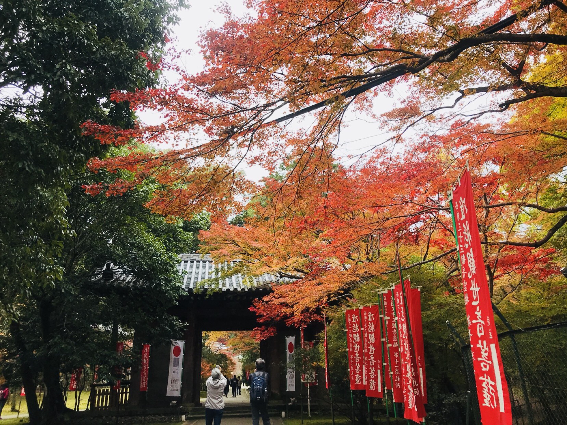 京都自助遊攻略