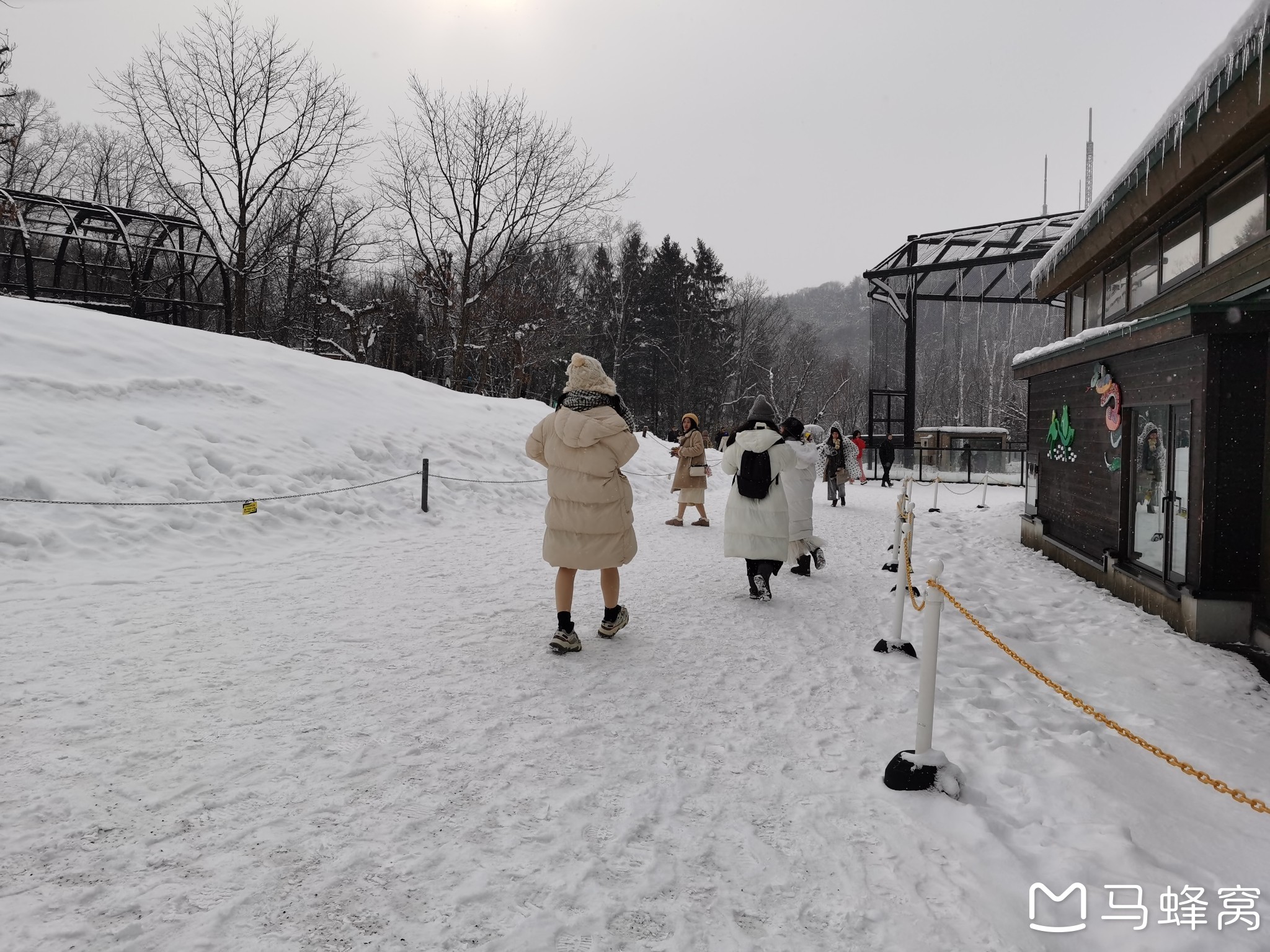 北海道自助遊攻略