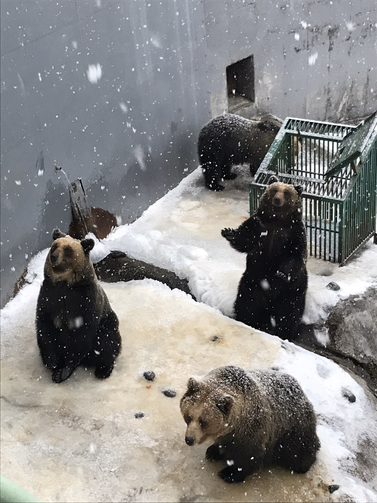 北海道自助遊攻略