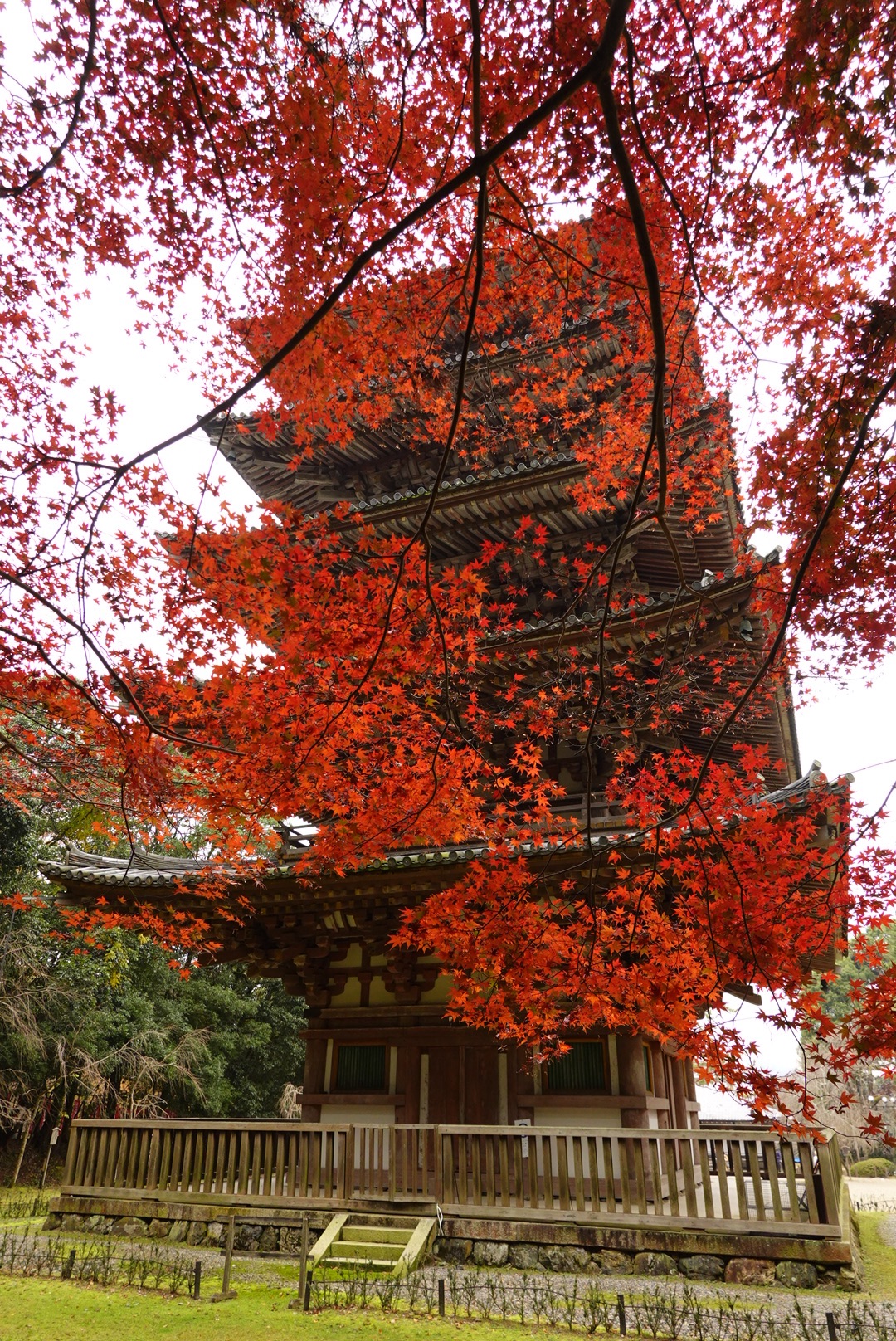 京都自助遊攻略