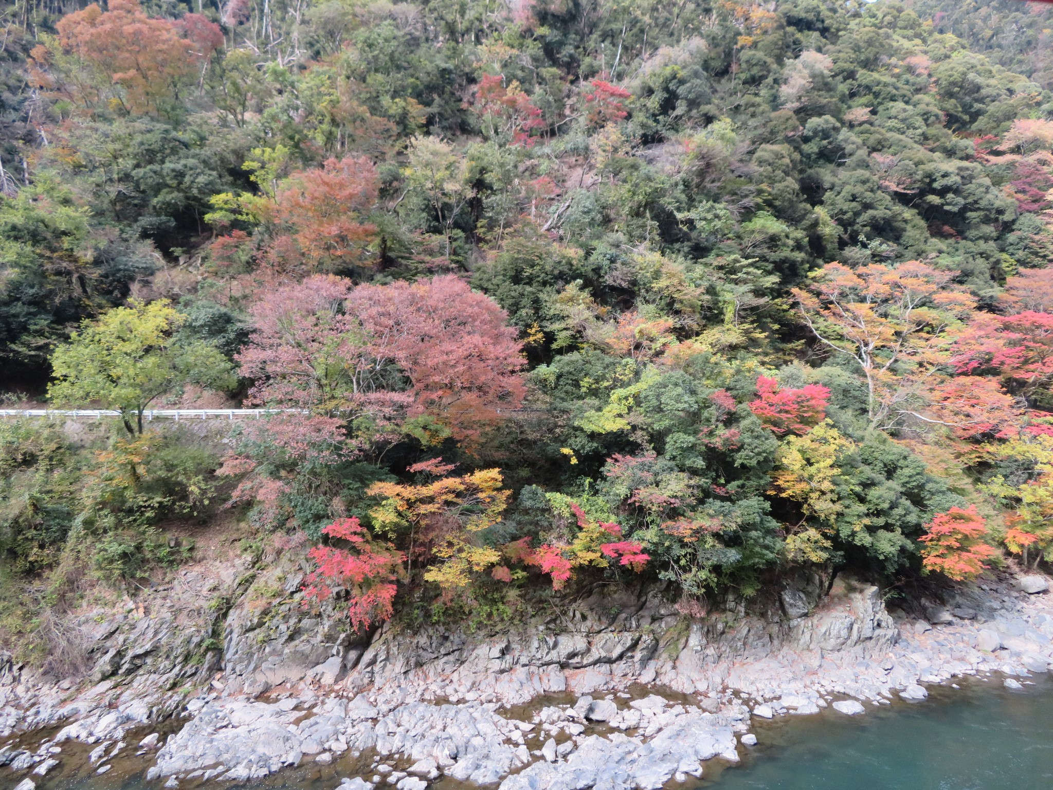 京都自助遊攻略