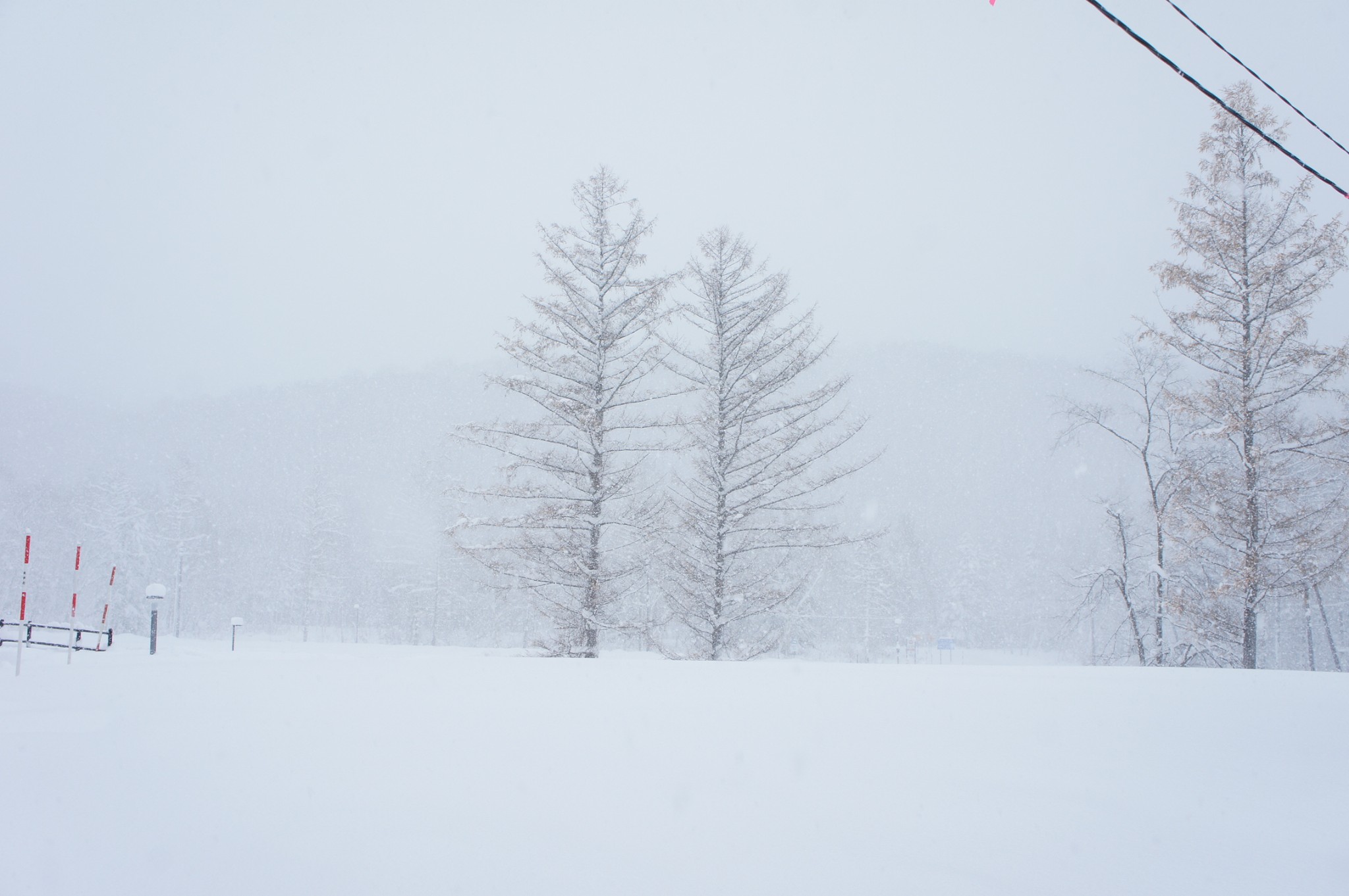 北海道自助遊攻略