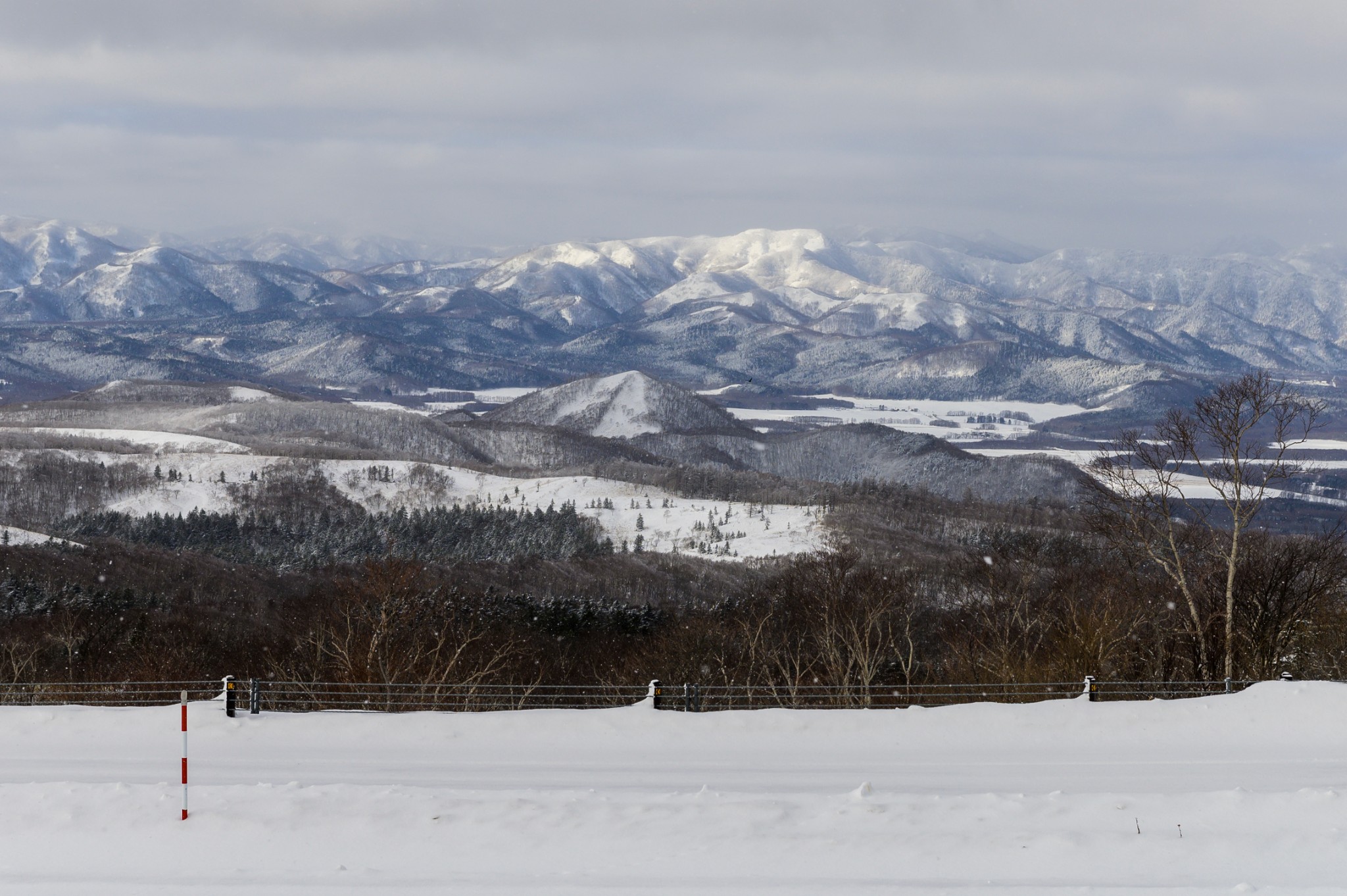 北海道自助遊攻略