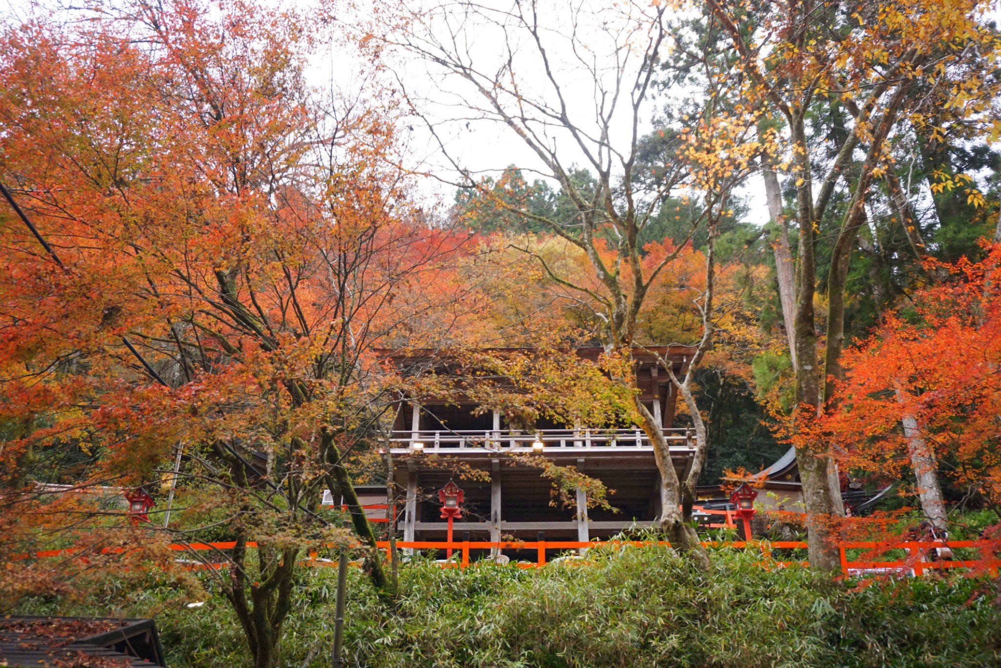 京都自助遊攻略