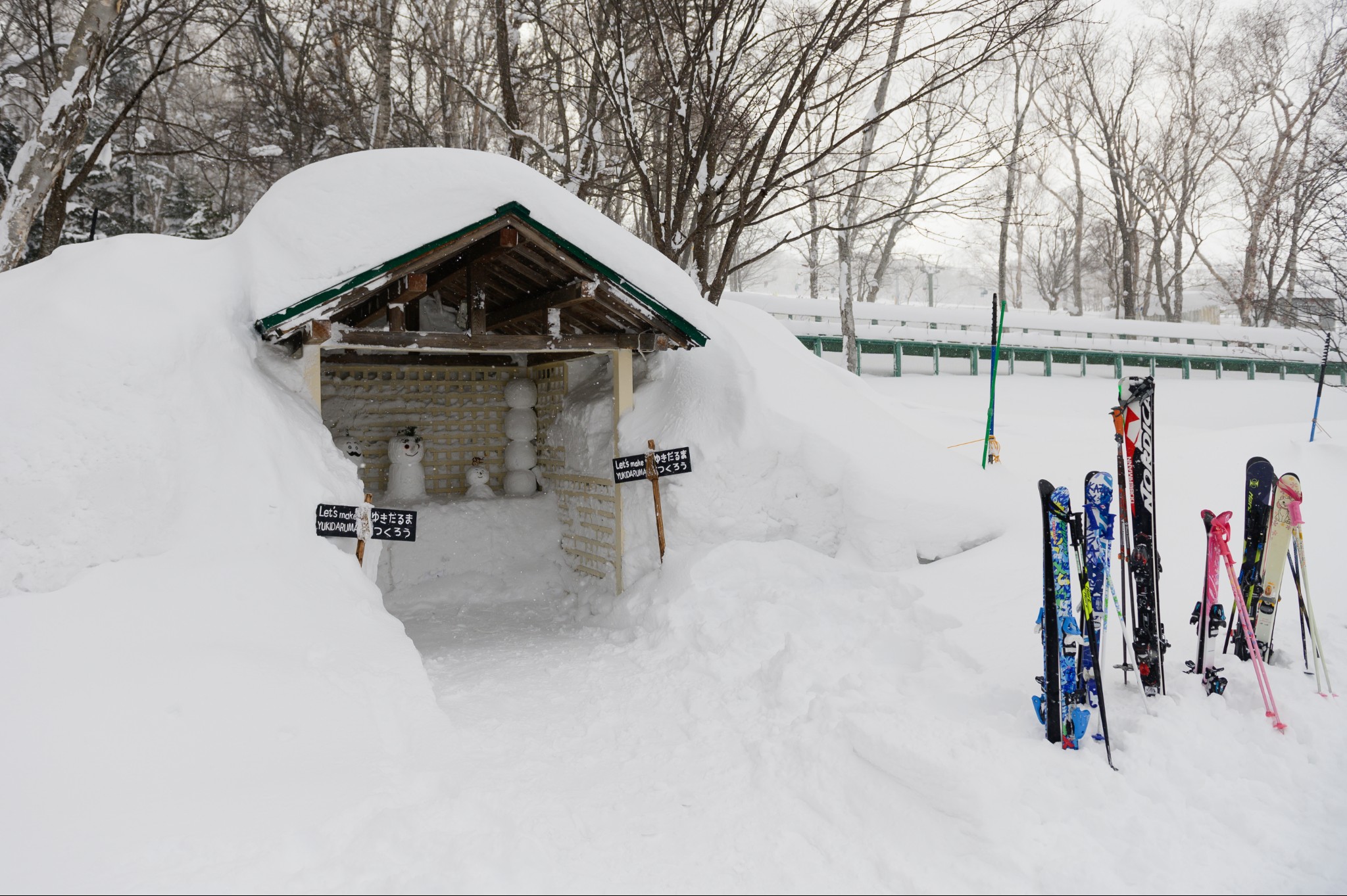 北海道自助遊攻略