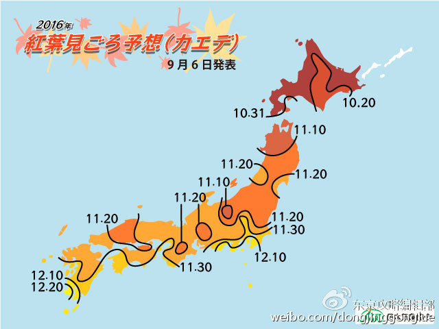 京都自助遊攻略