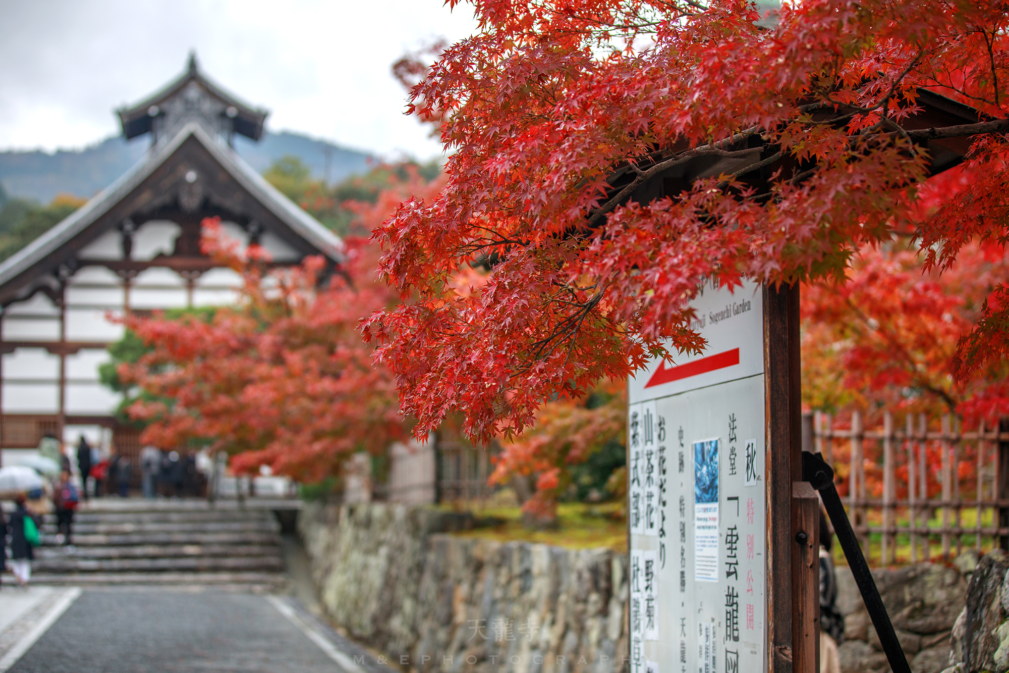 京都自助遊攻略