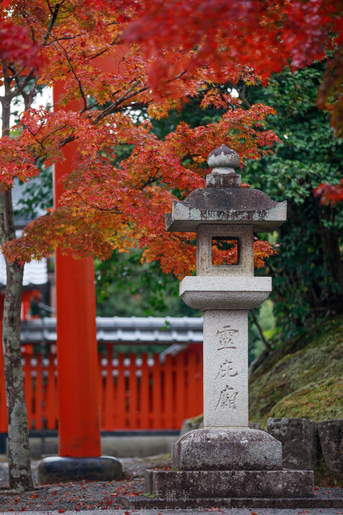 京都自助遊攻略