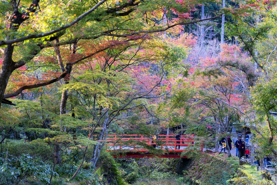 京都自助遊攻略