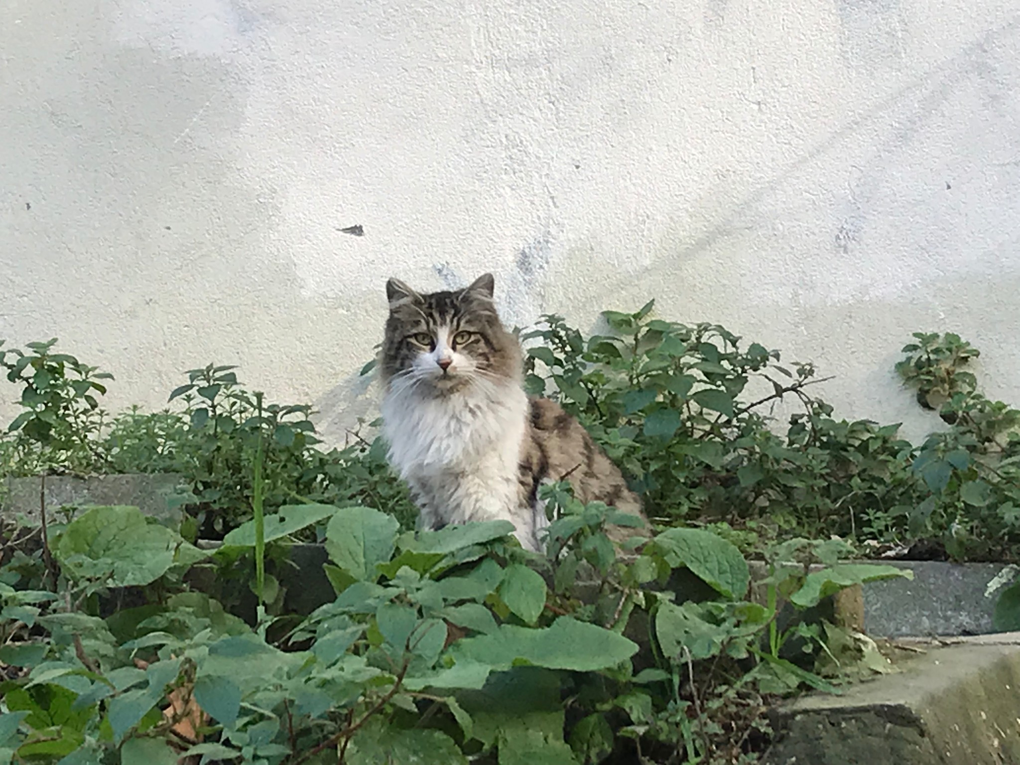 土耳其自助遊攻略