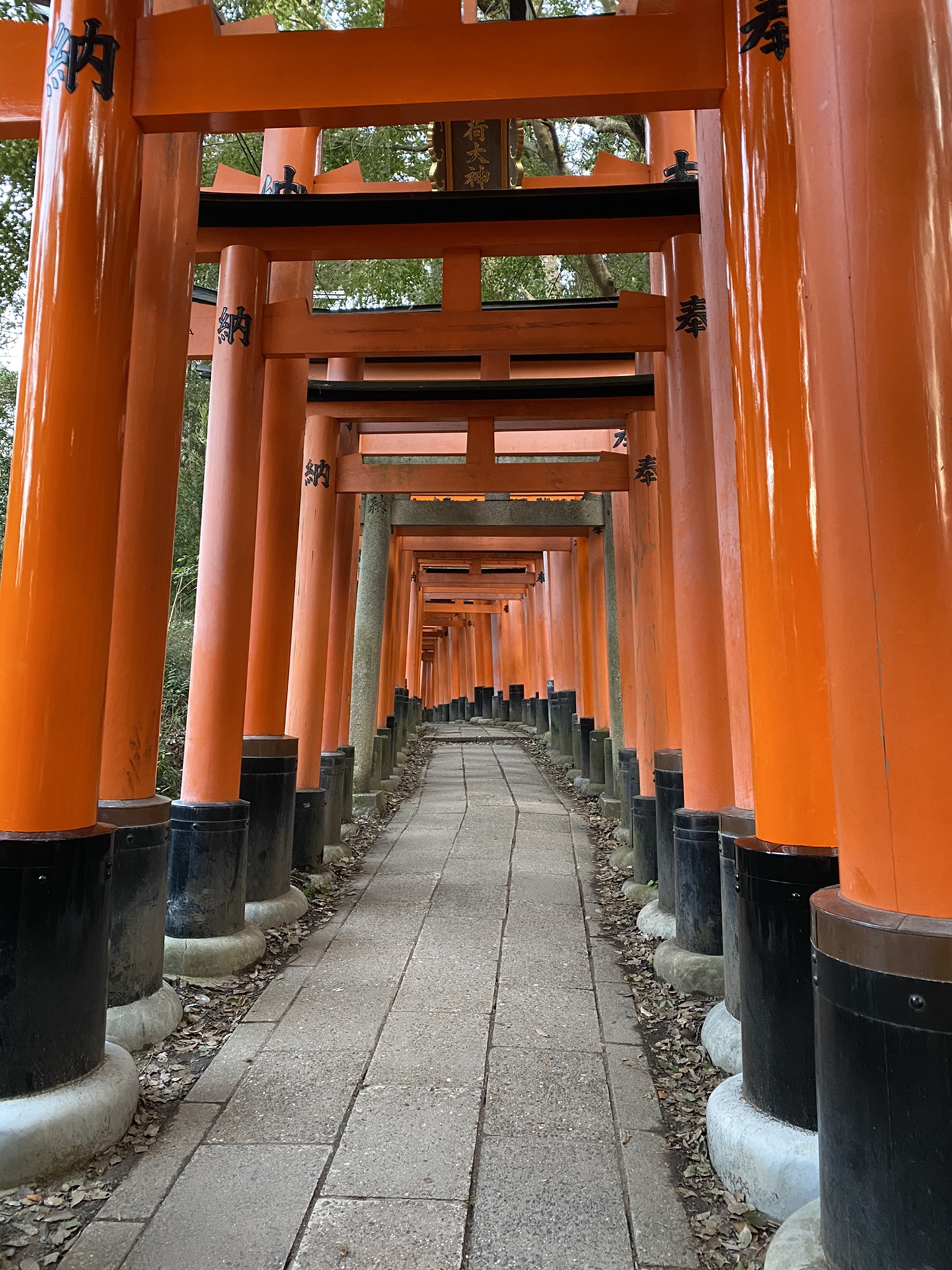 京都自助遊攻略