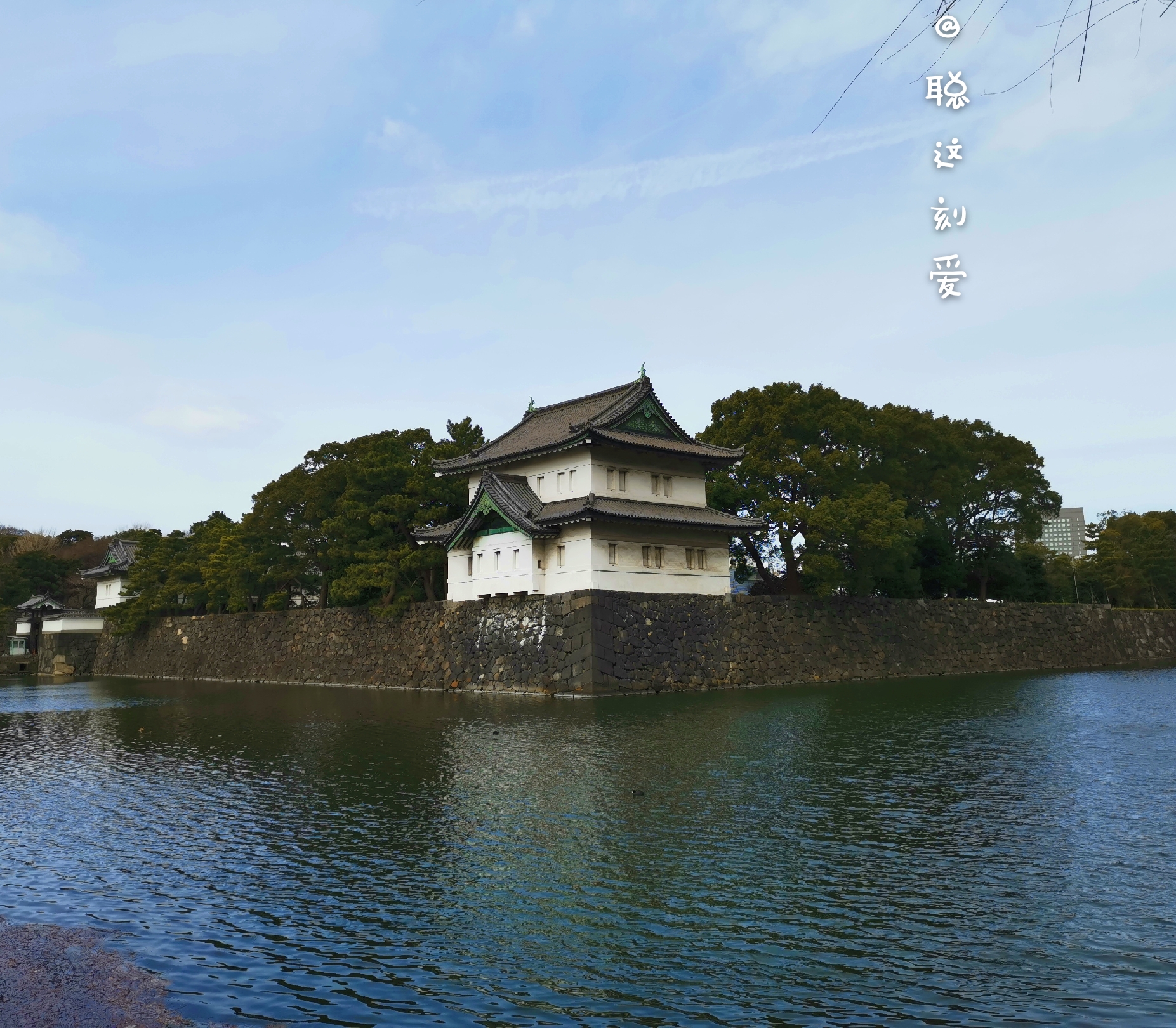 東京自助遊攻略