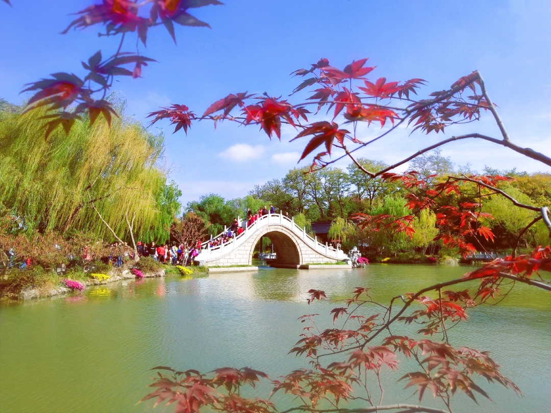 爱在深秋 用手机捕捉扬州最美秋色