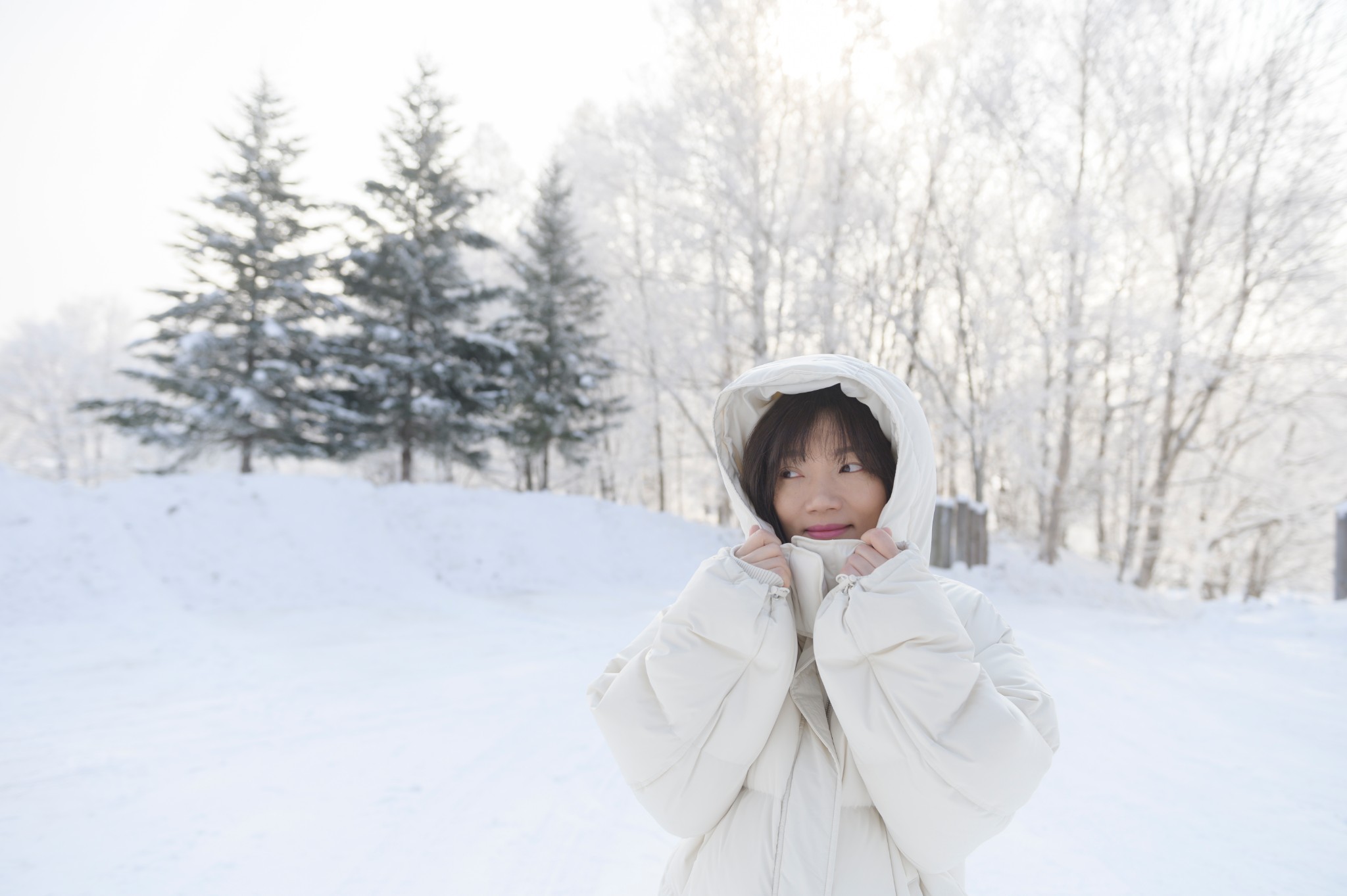 北海道自助遊攻略