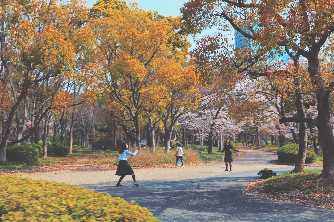 京都自助遊攻略