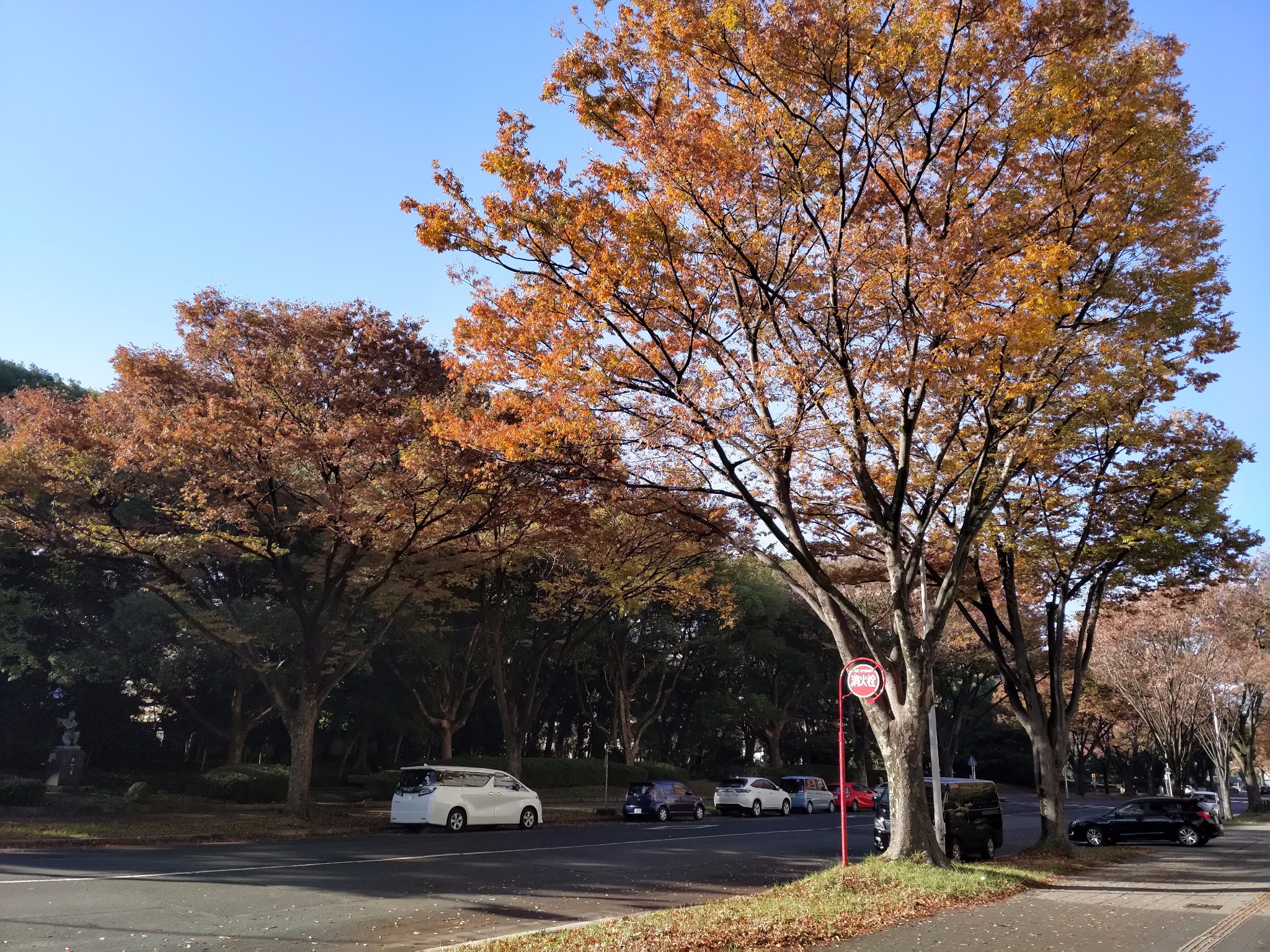 名古屋自助遊攻略