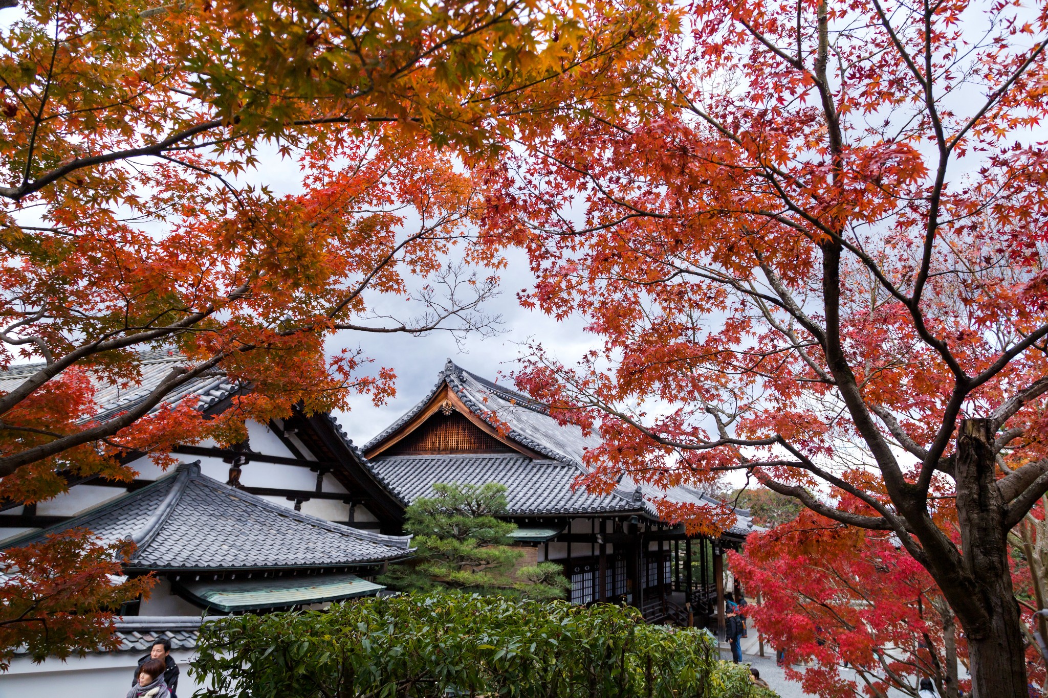 京都自助遊攻略