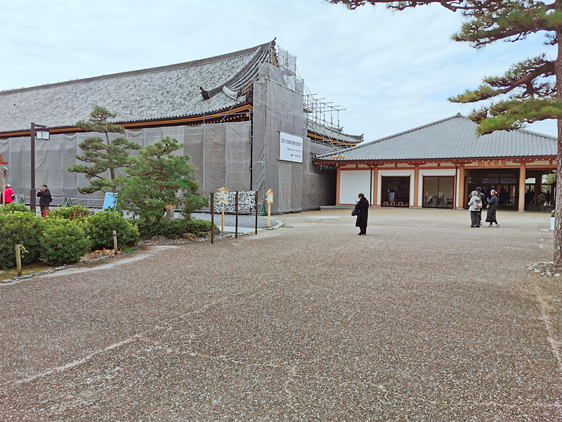 京都自助遊攻略