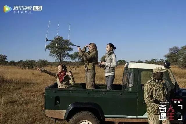 那带有磁性的声音而bbc的最新神作《王朝》也把许多镜头瞄准了非洲的