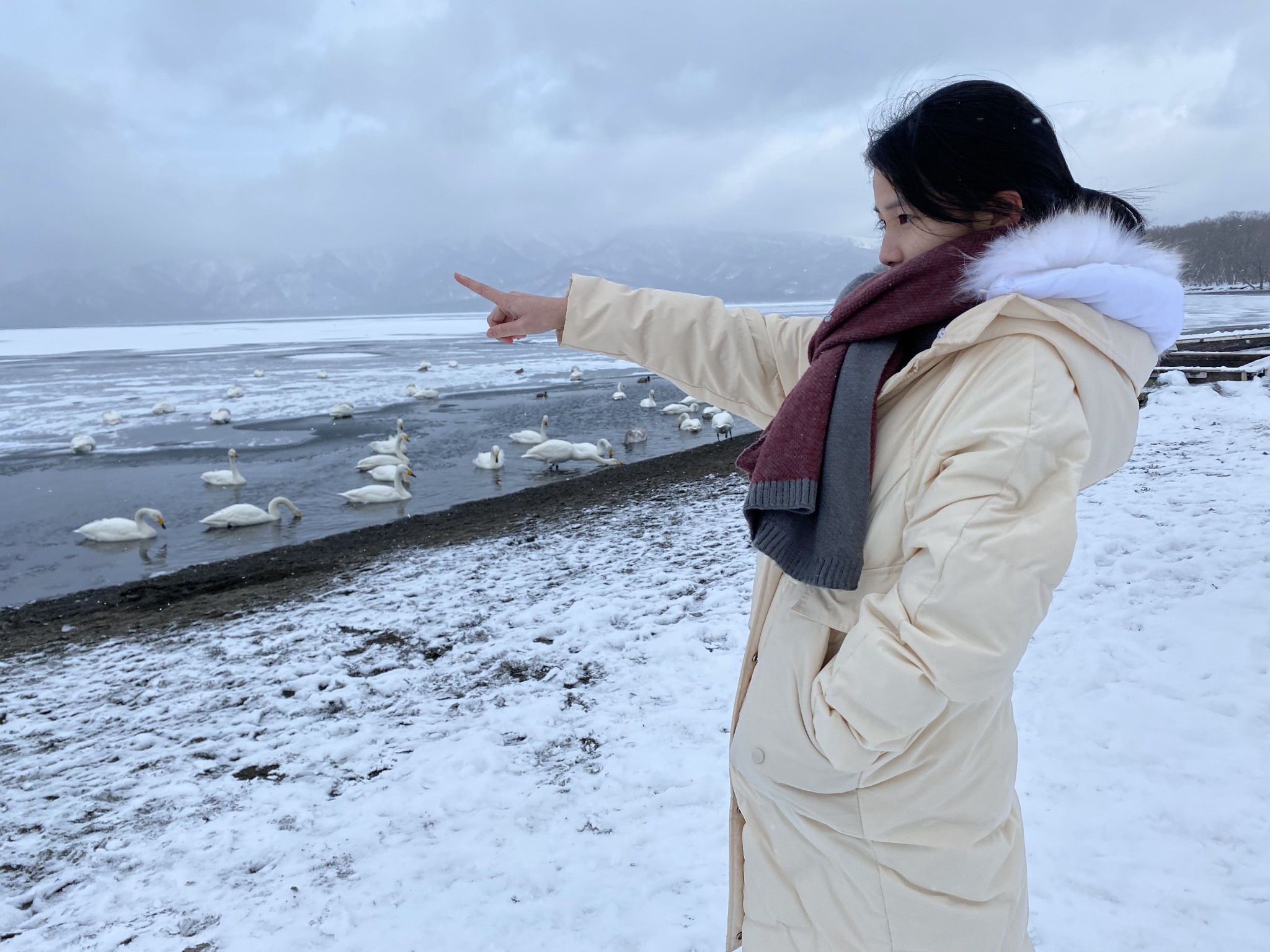 北海道自助遊攻略