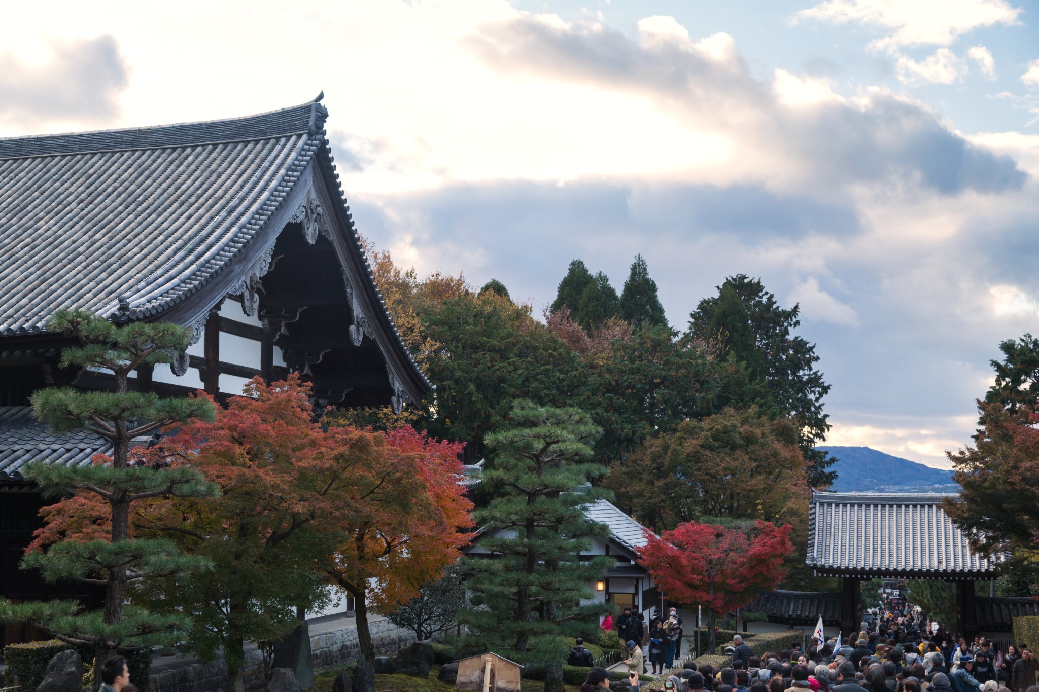 京都自助遊攻略