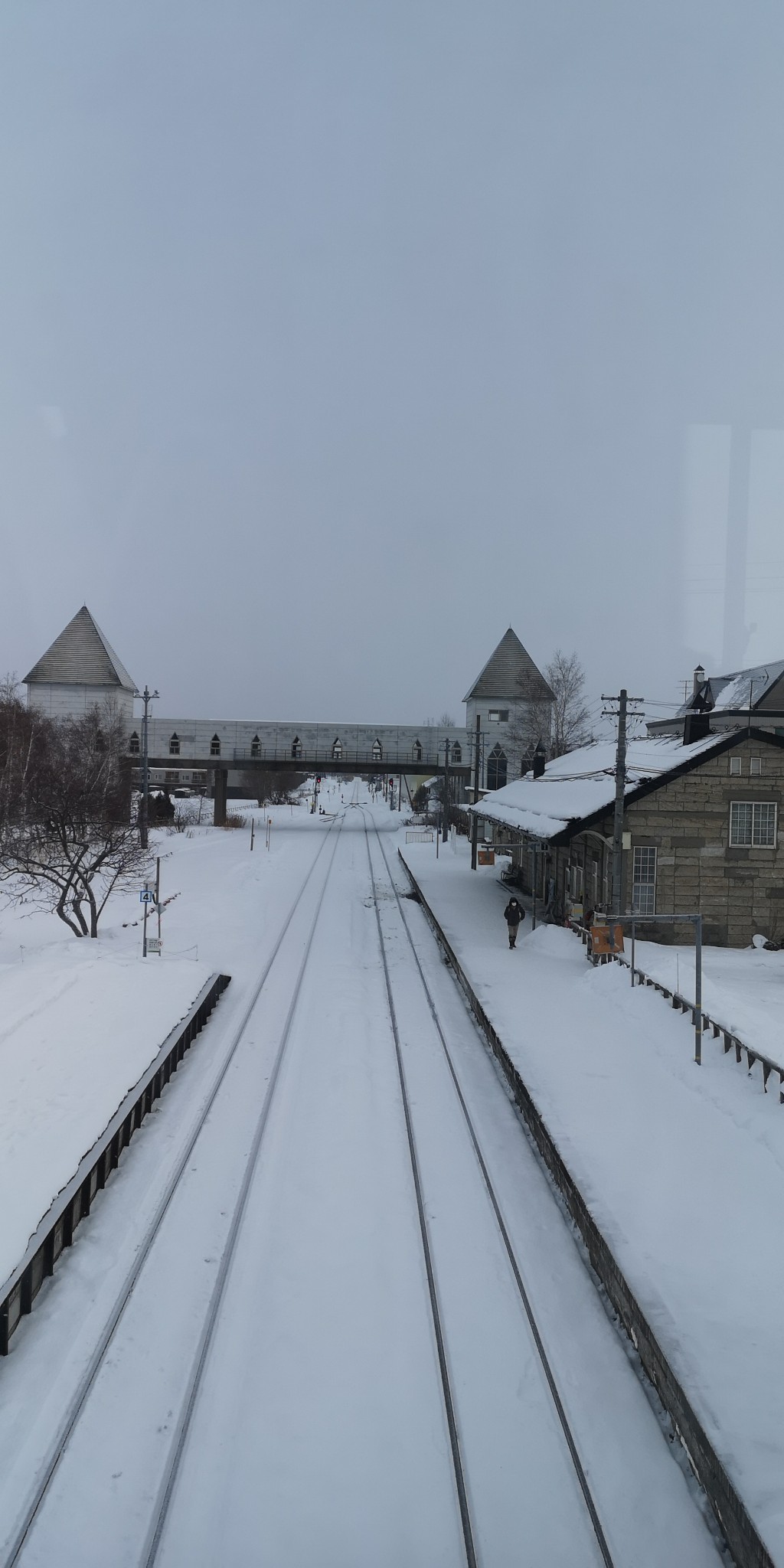 北海道自助遊攻略