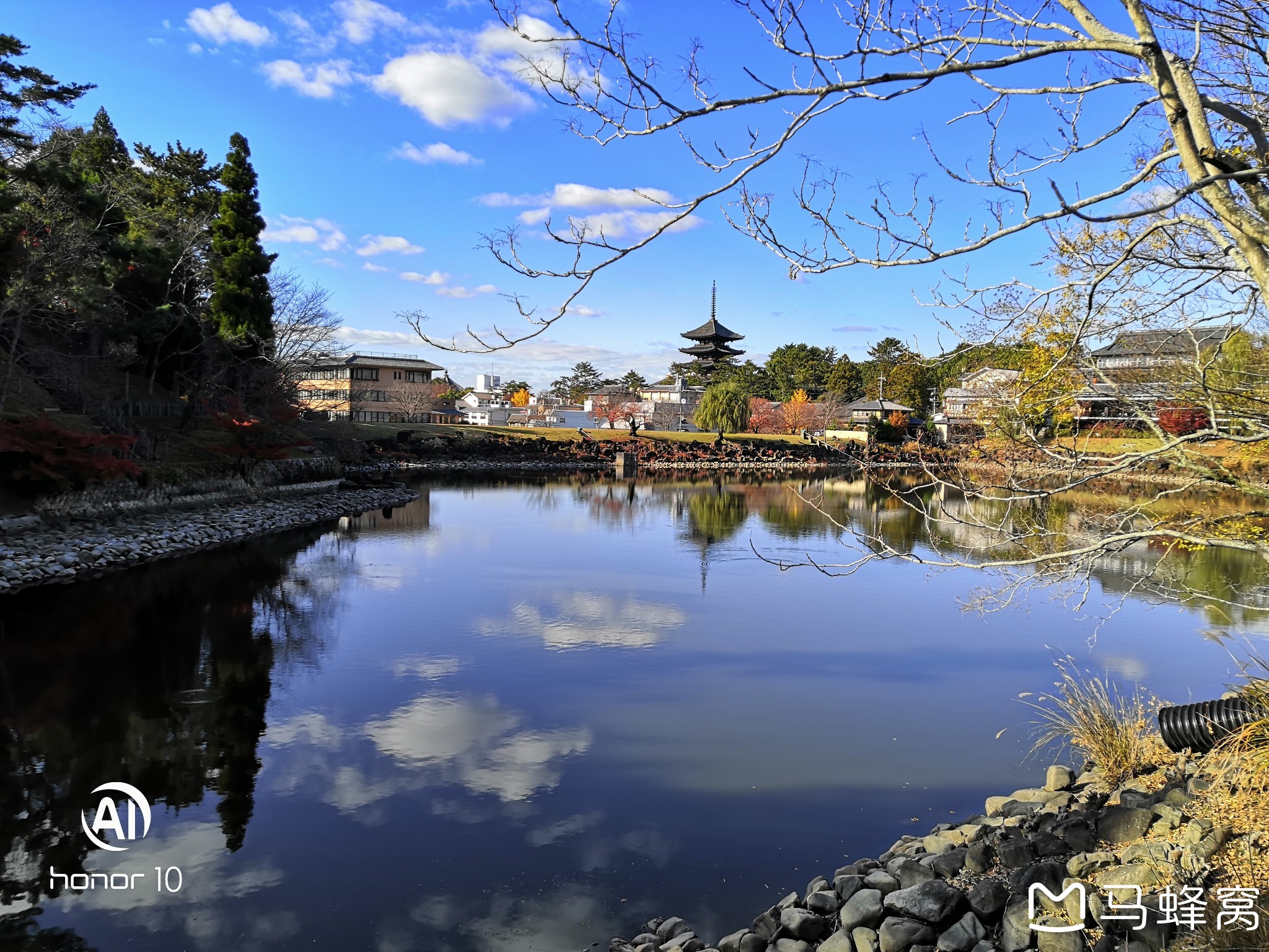 京都自助遊攻略