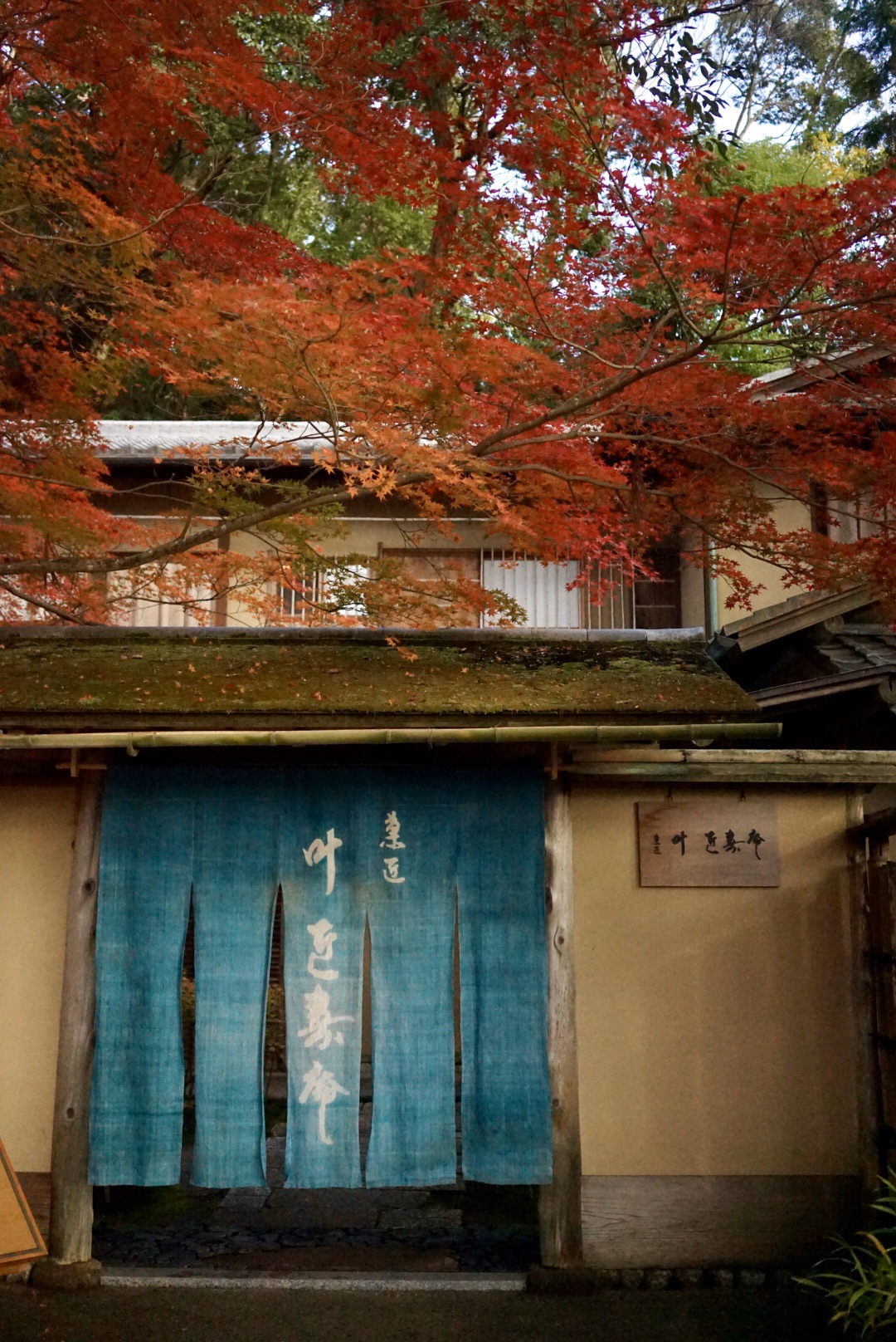 京都自助遊攻略