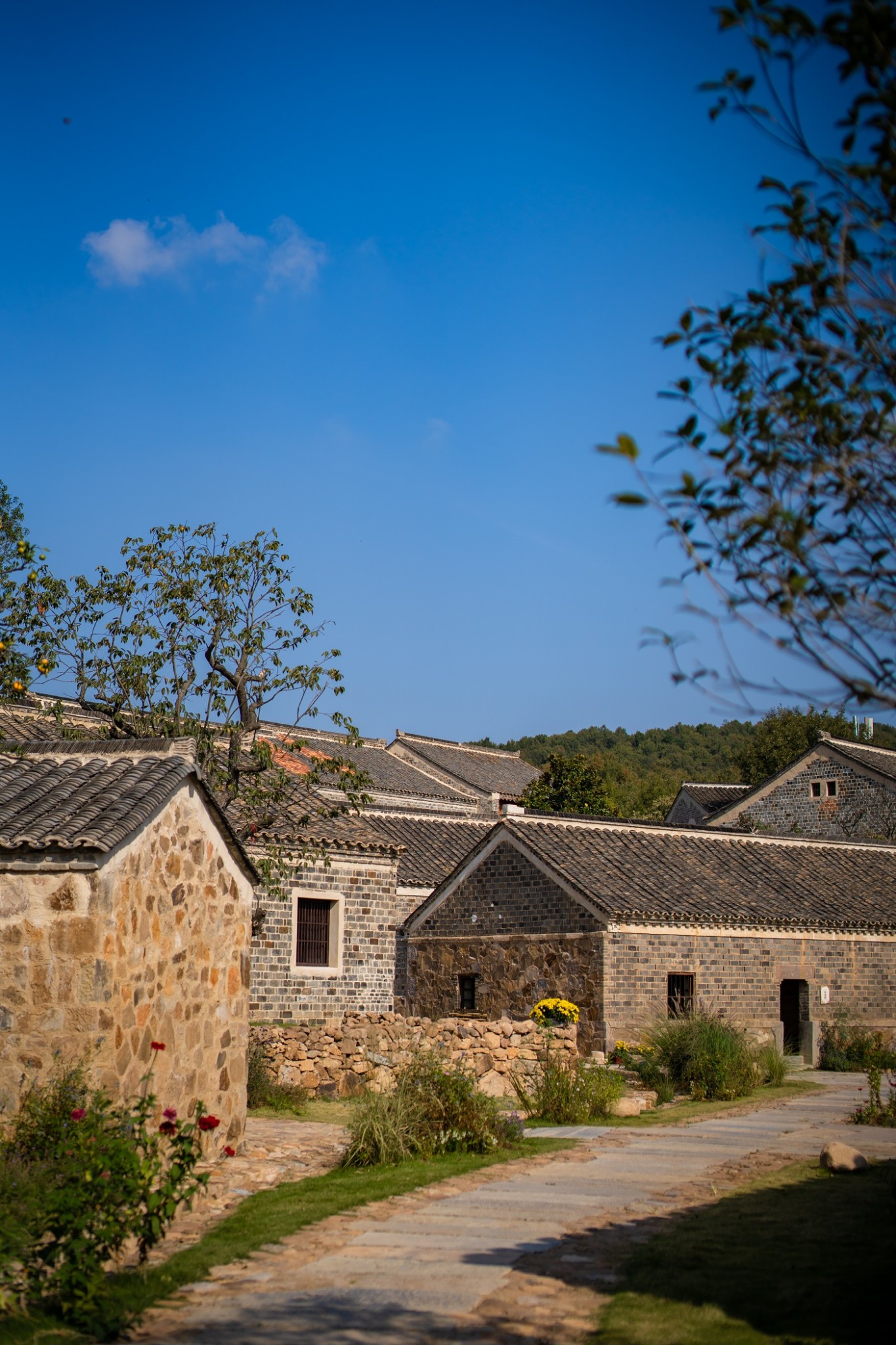 体验私塾,稻田无边泳池,住进人民公社,花迹·无想山居太赞了