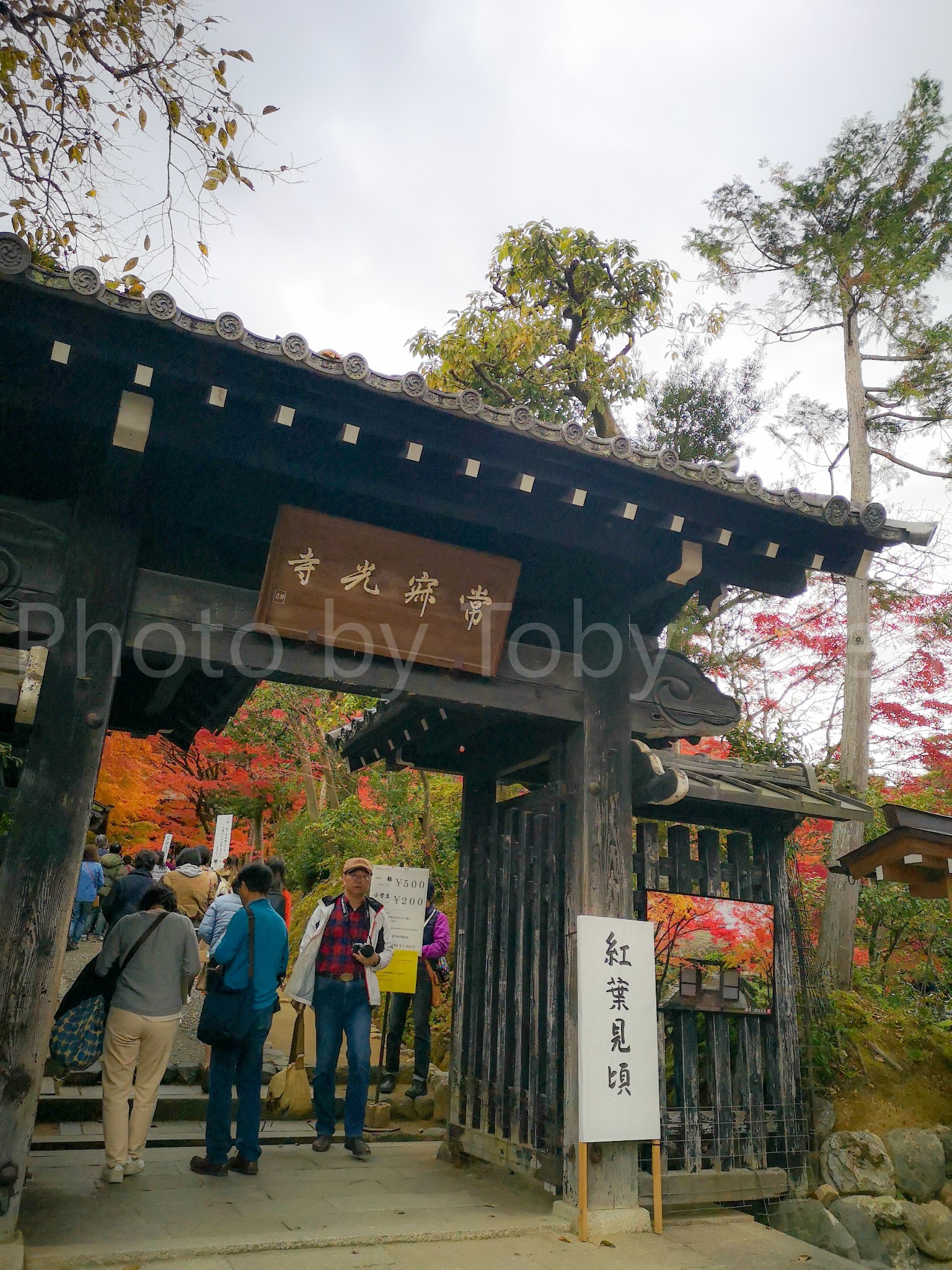 京都自助遊攻略