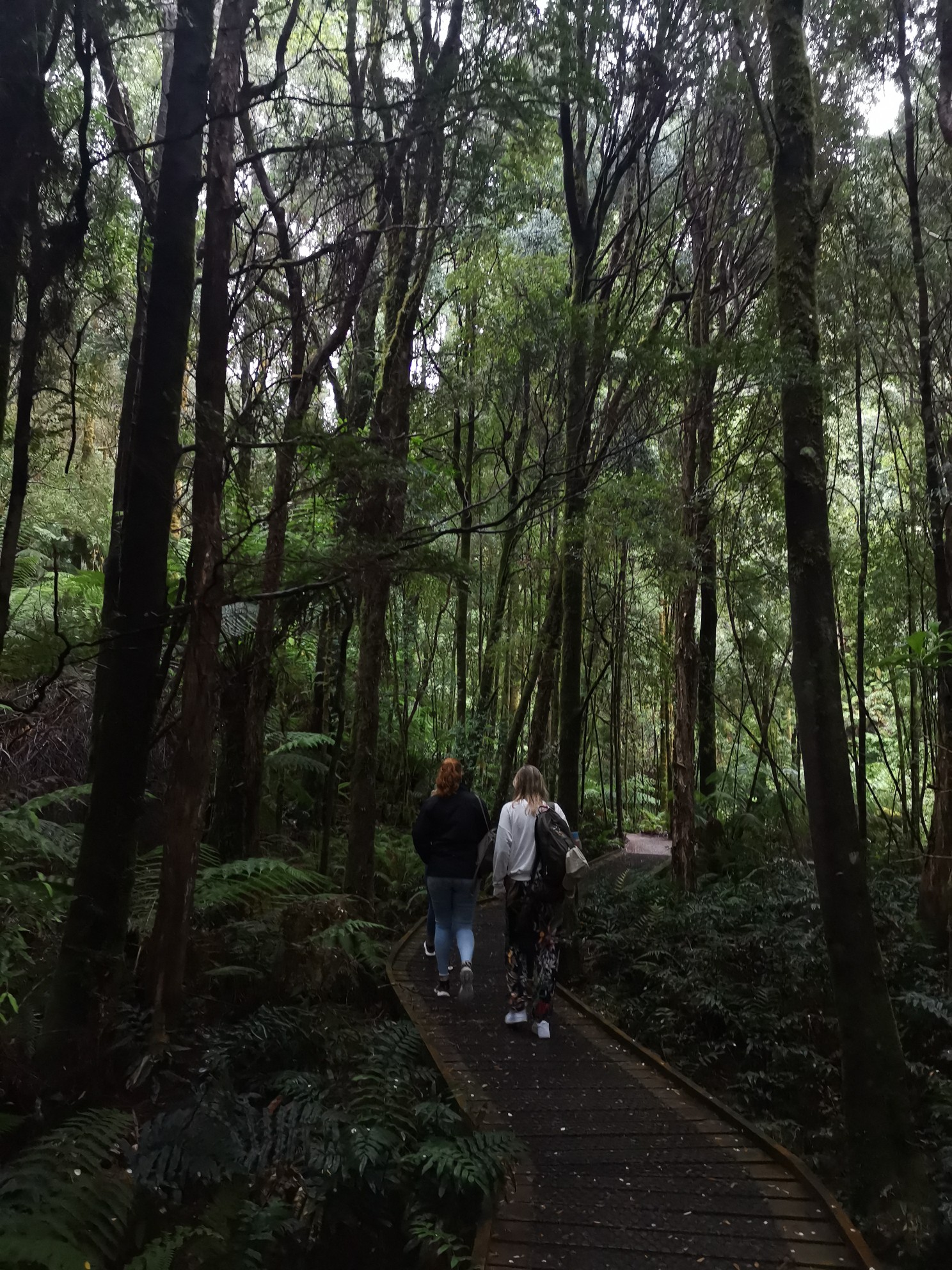 烏魯魯—卡塔丘塔國家公園自助遊攻略