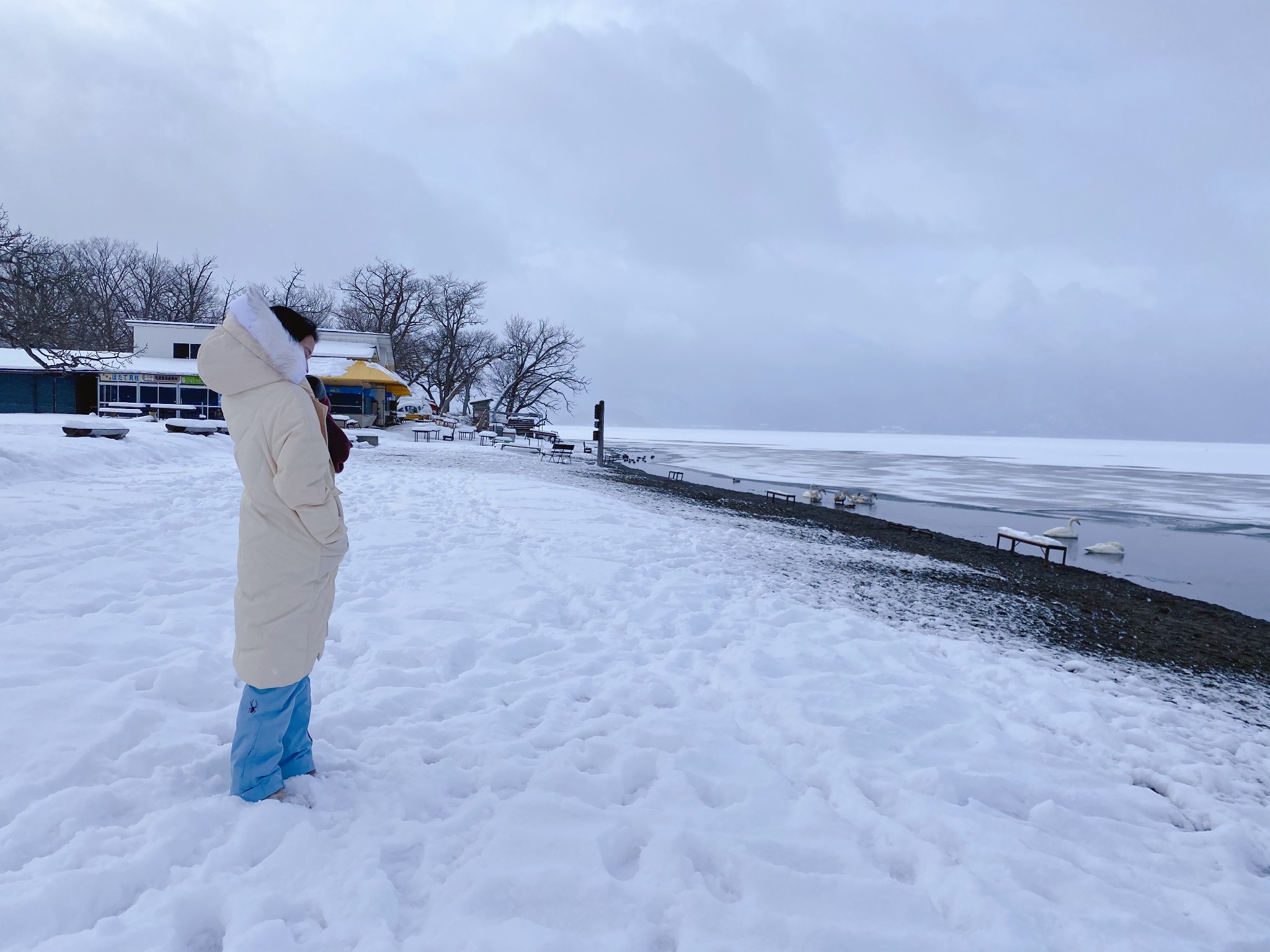 北海道自助遊攻略