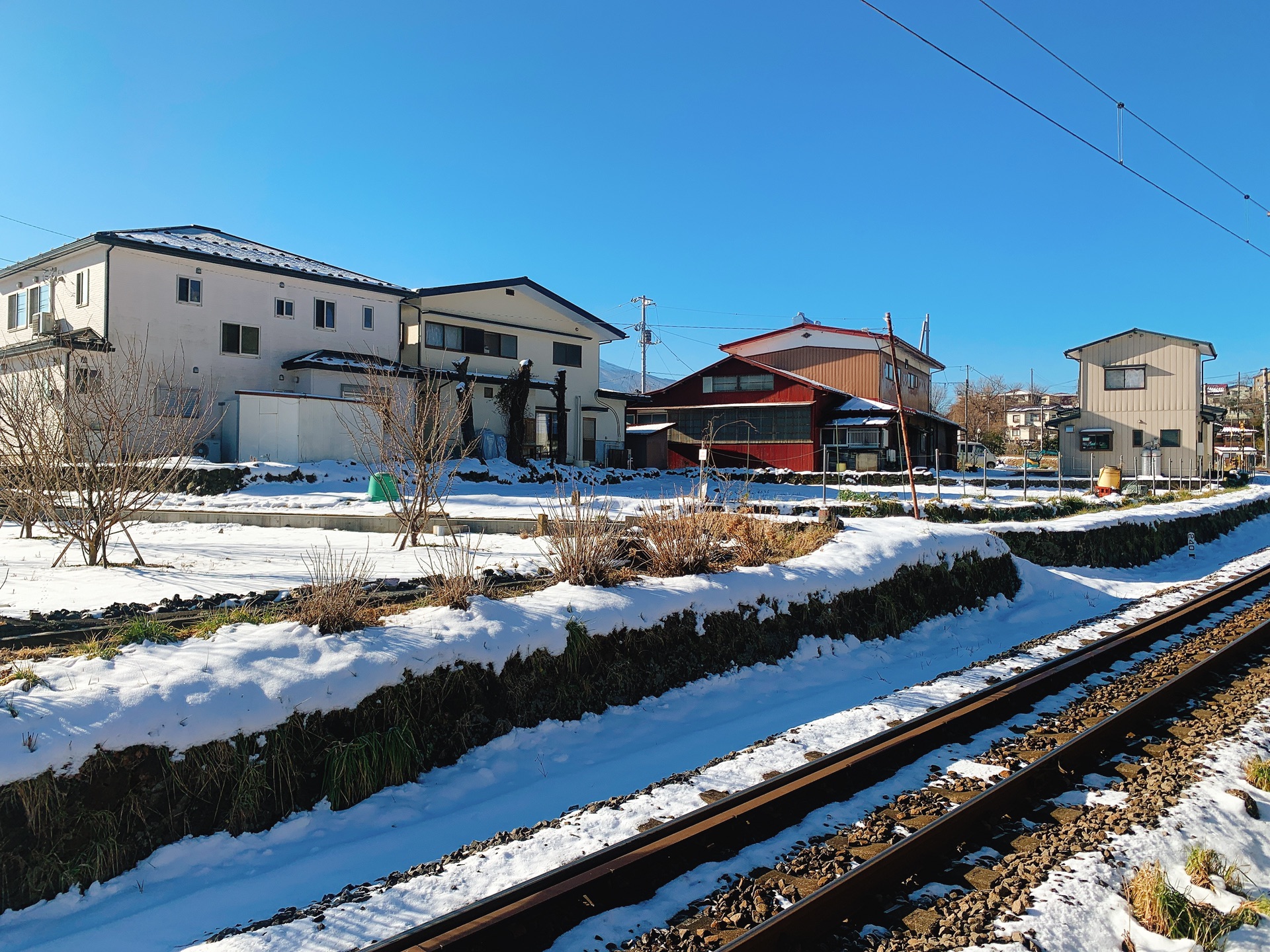 東京自助遊攻略