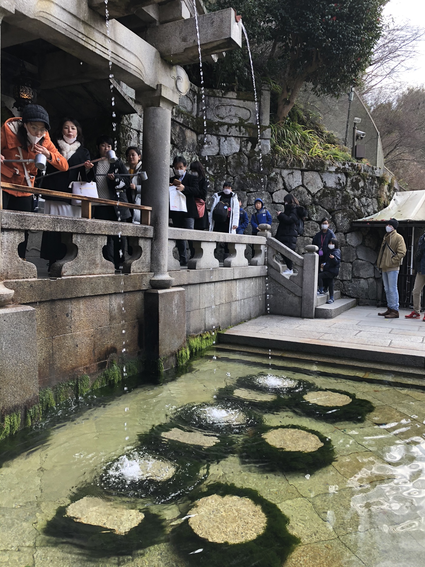 京都自助遊攻略