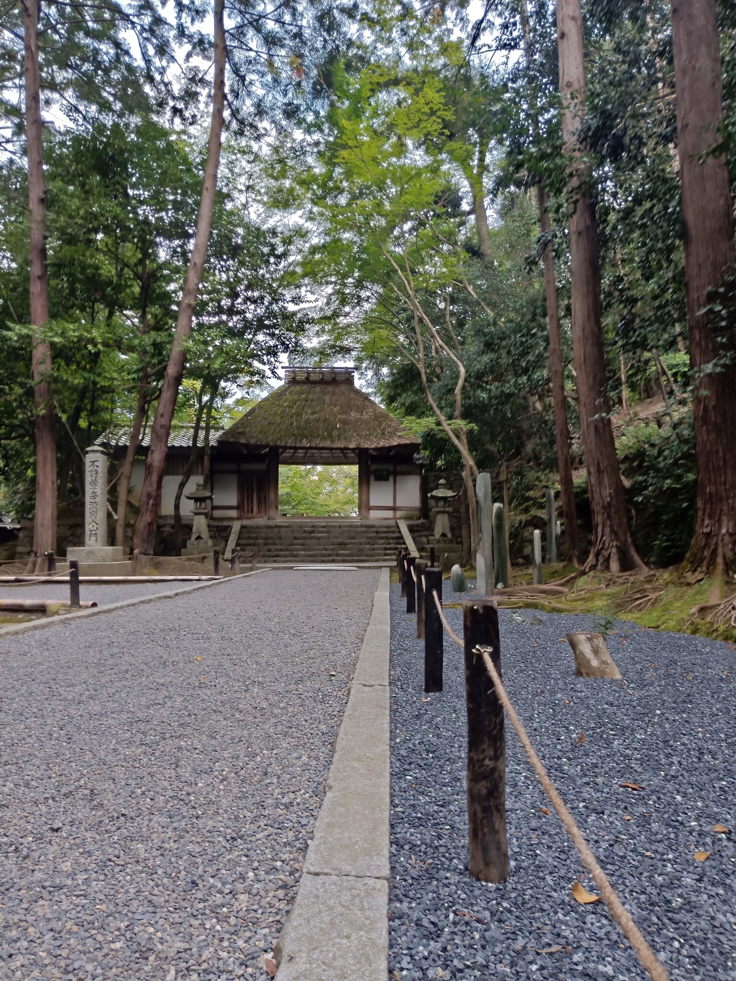 京都自助遊攻略