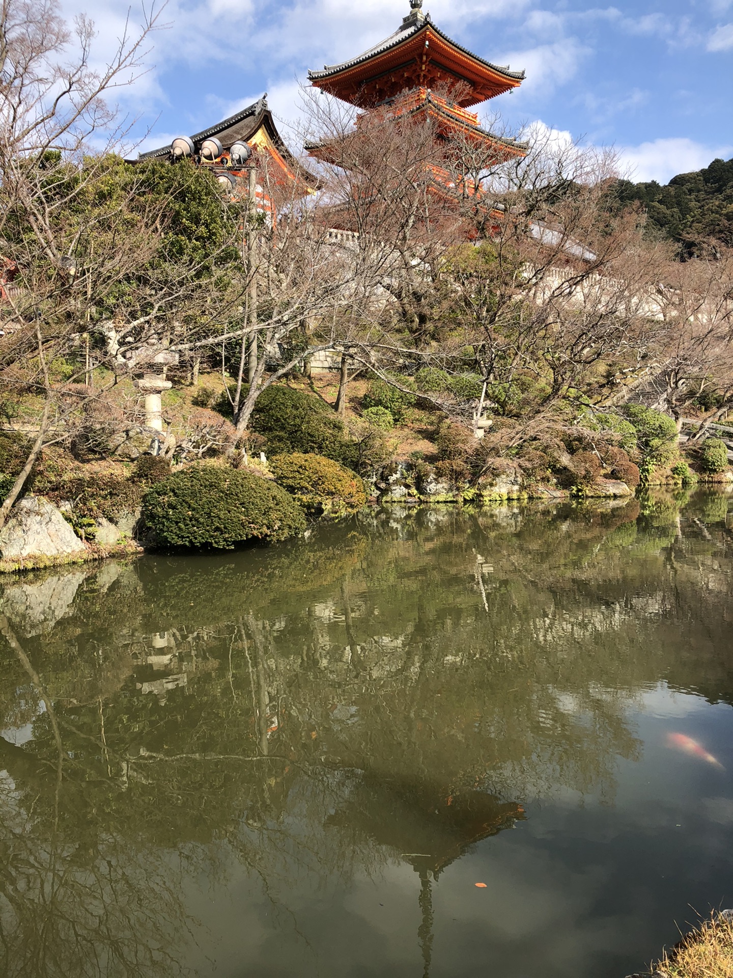 京都自助遊攻略