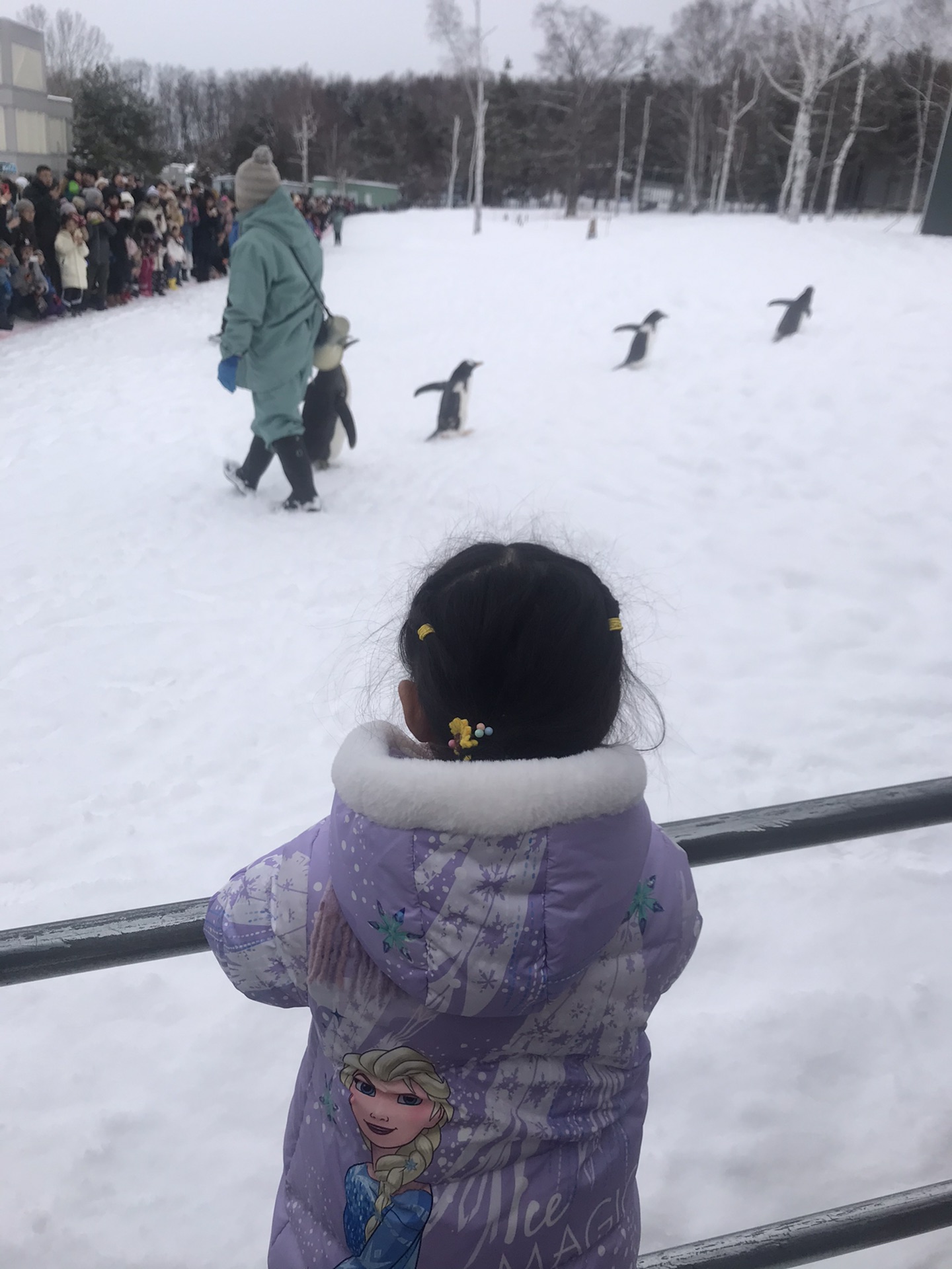 北海道自助遊攻略