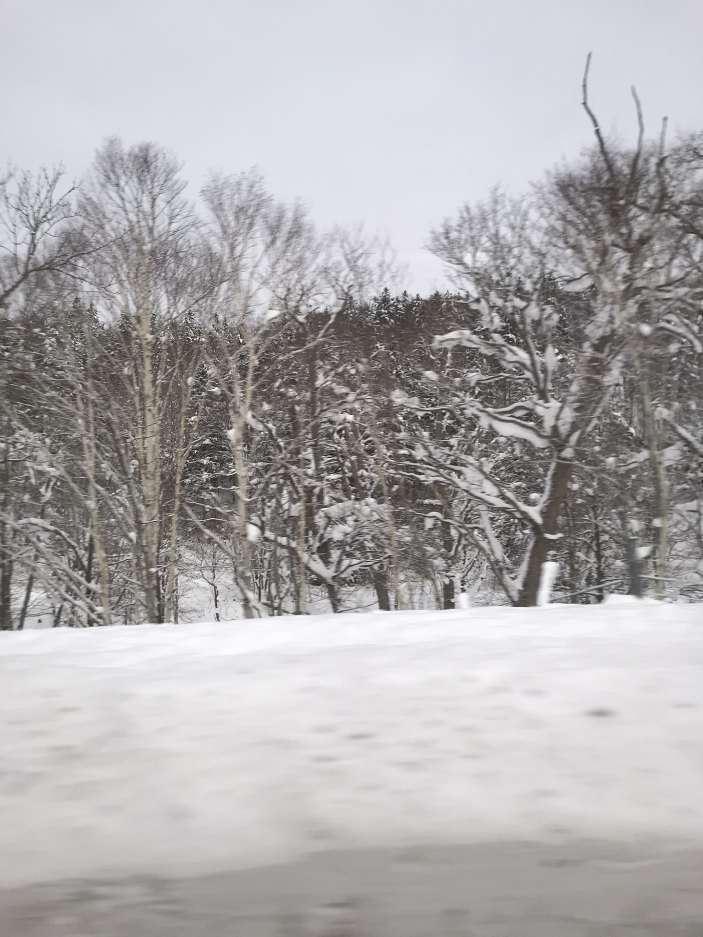 北海道自助遊攻略