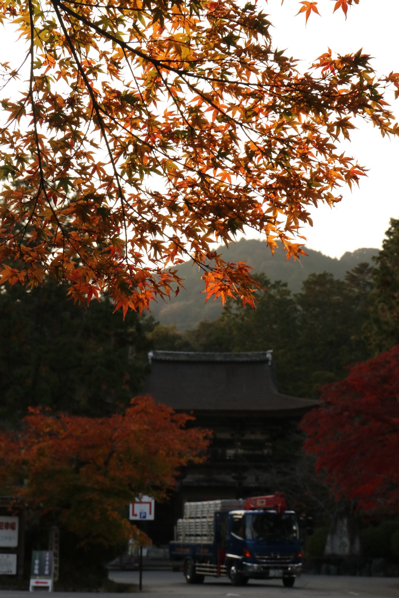 京都自助遊攻略