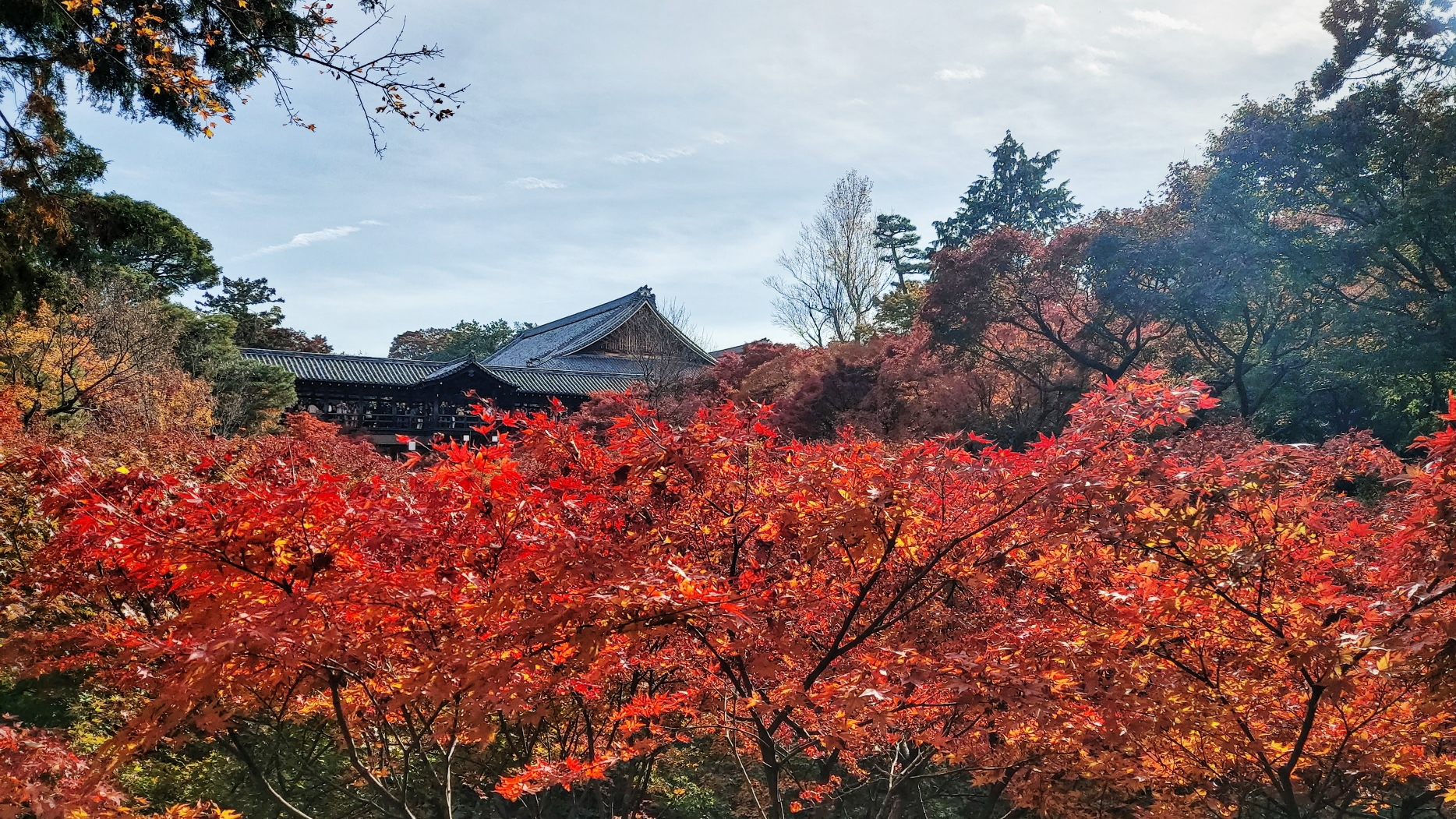 京都自助遊攻略