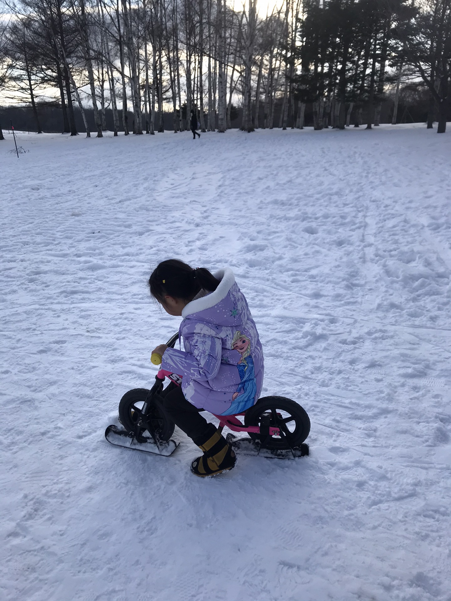 北海道自助遊攻略