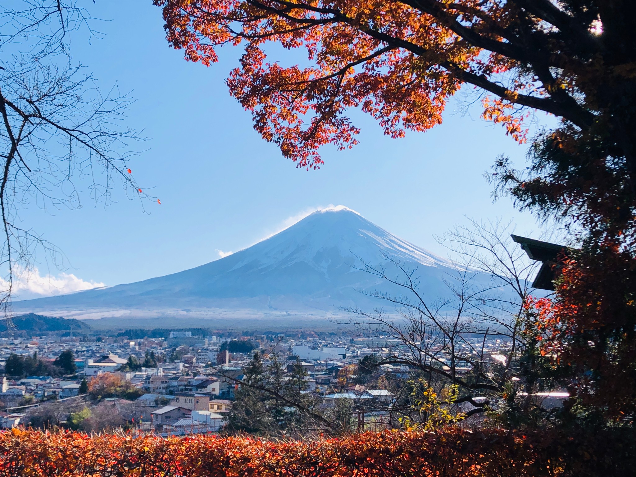 富士山五湖一塔通关小记_游记