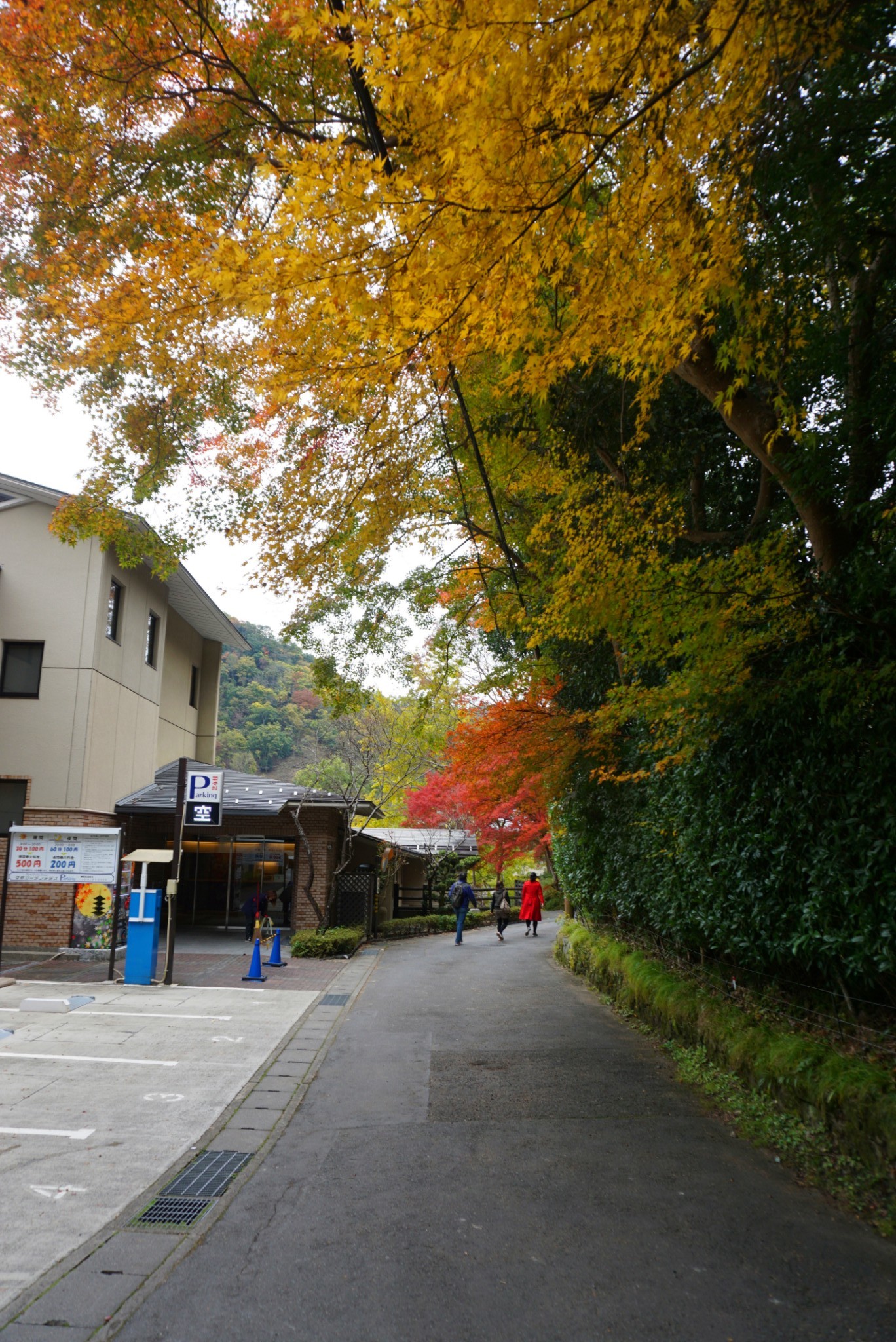 京都自助遊攻略