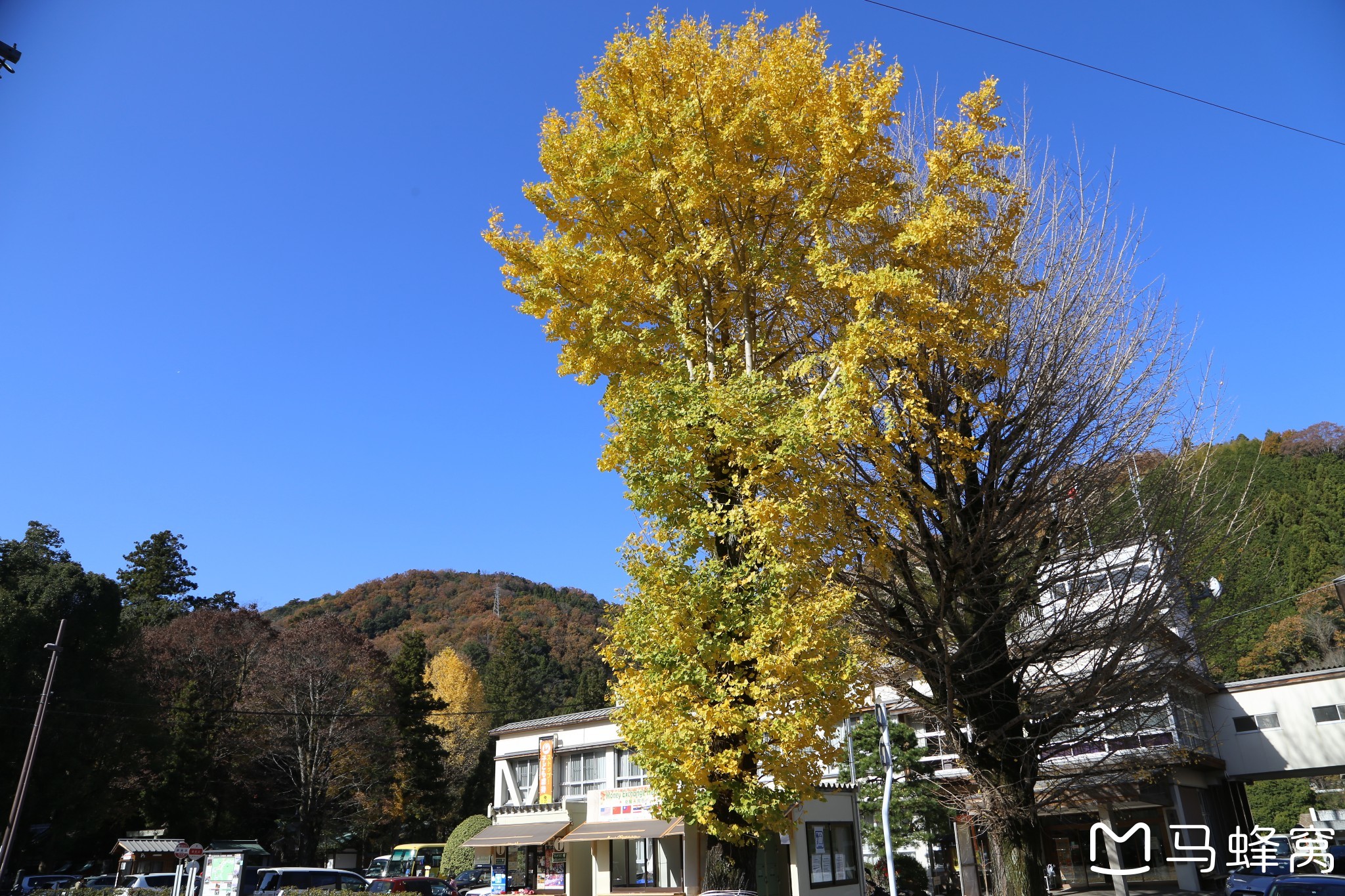 名古屋自助遊攻略