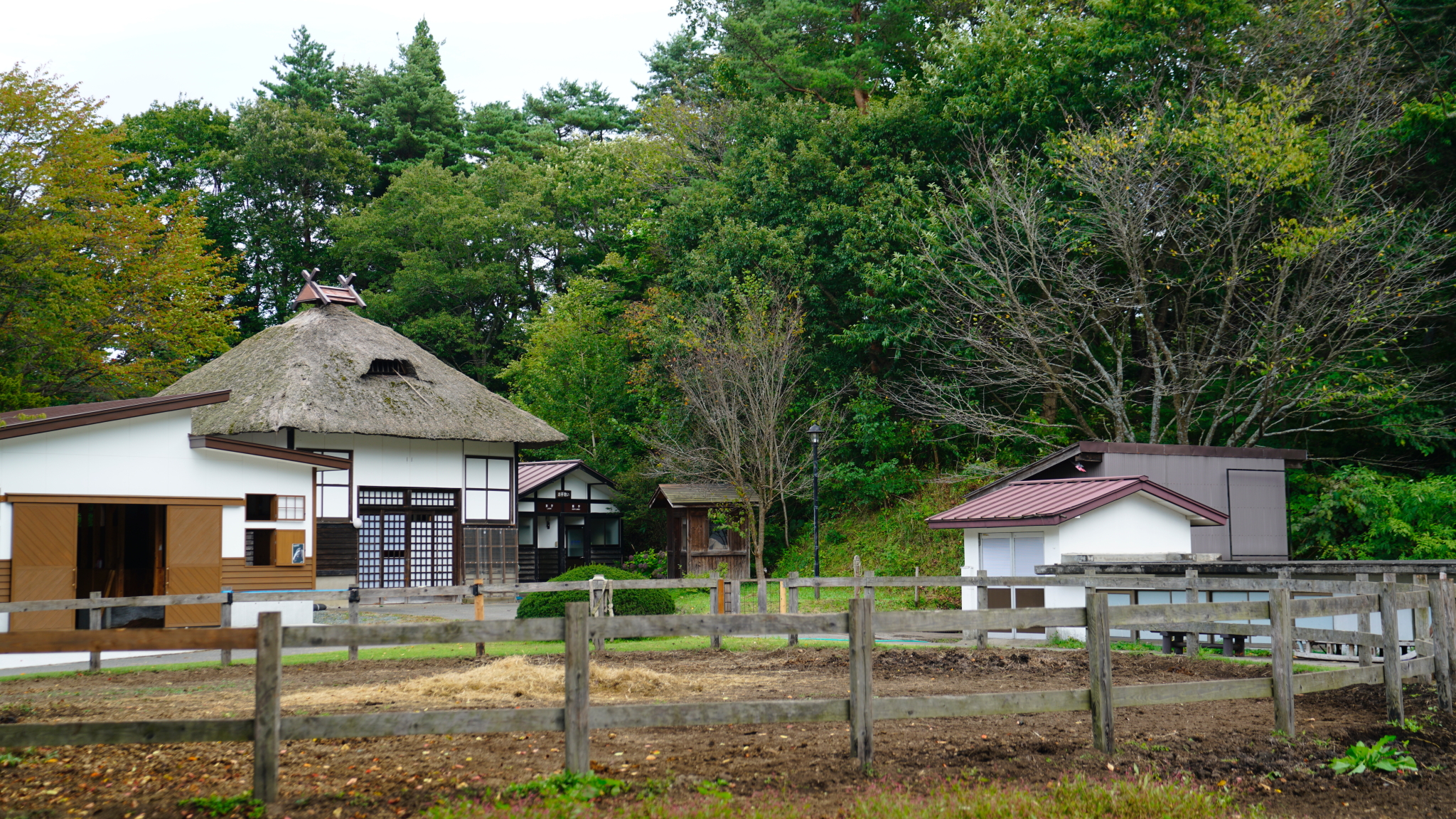 青森縣自助遊攻略