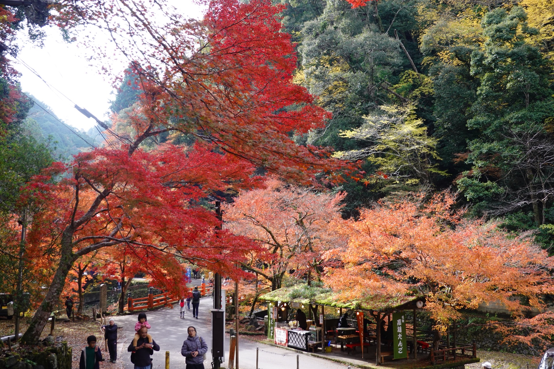 京都自助遊攻略